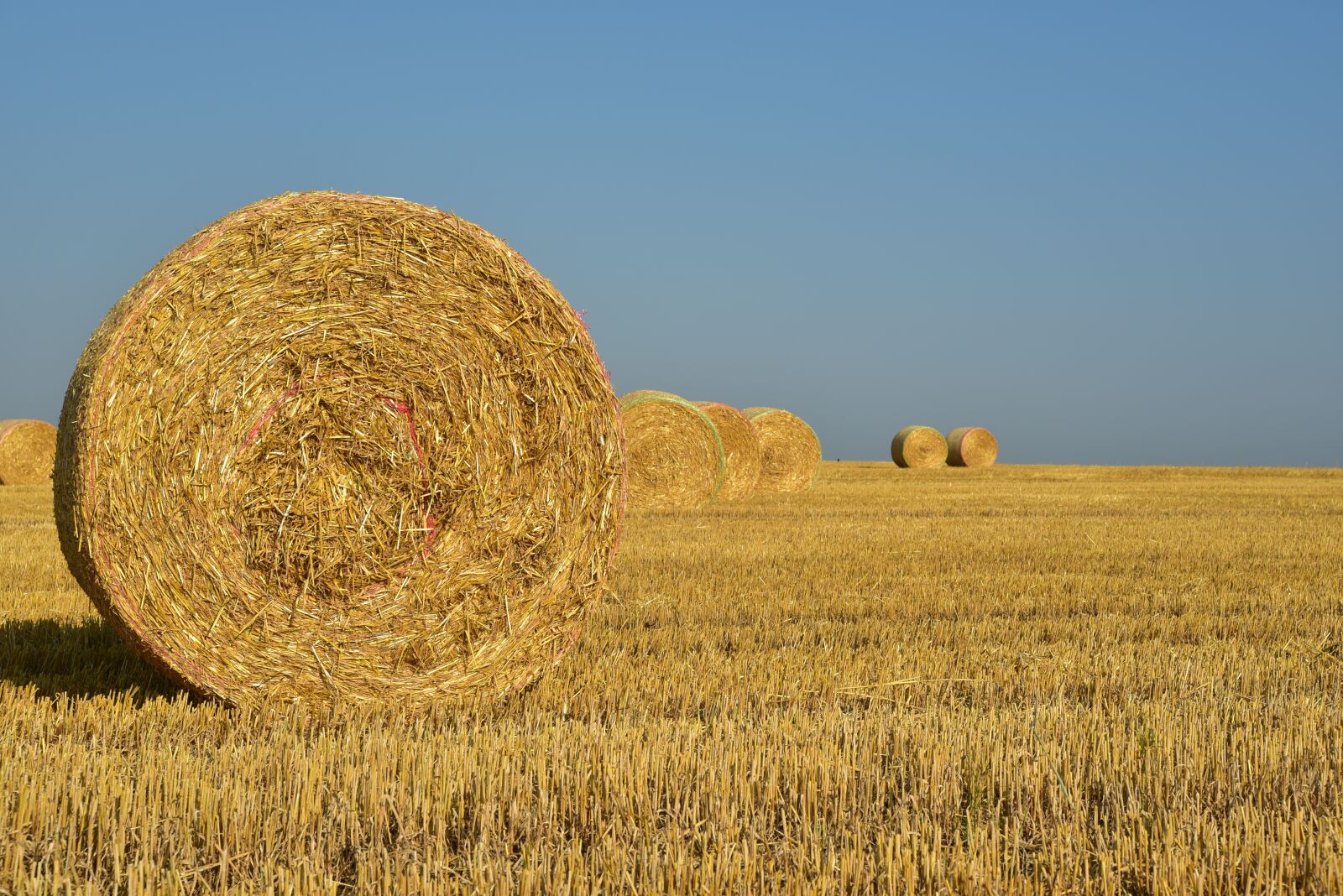 Nikon D750 sample photo. Hay, straw, harvest photography