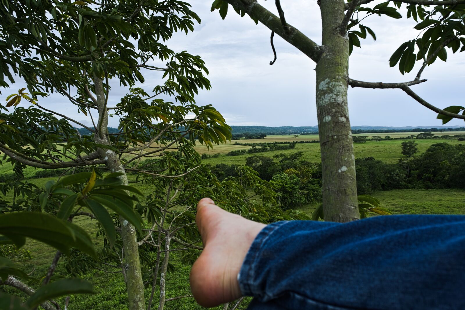 Nikon D7200 sample photo. Relax, tree, landscape photography