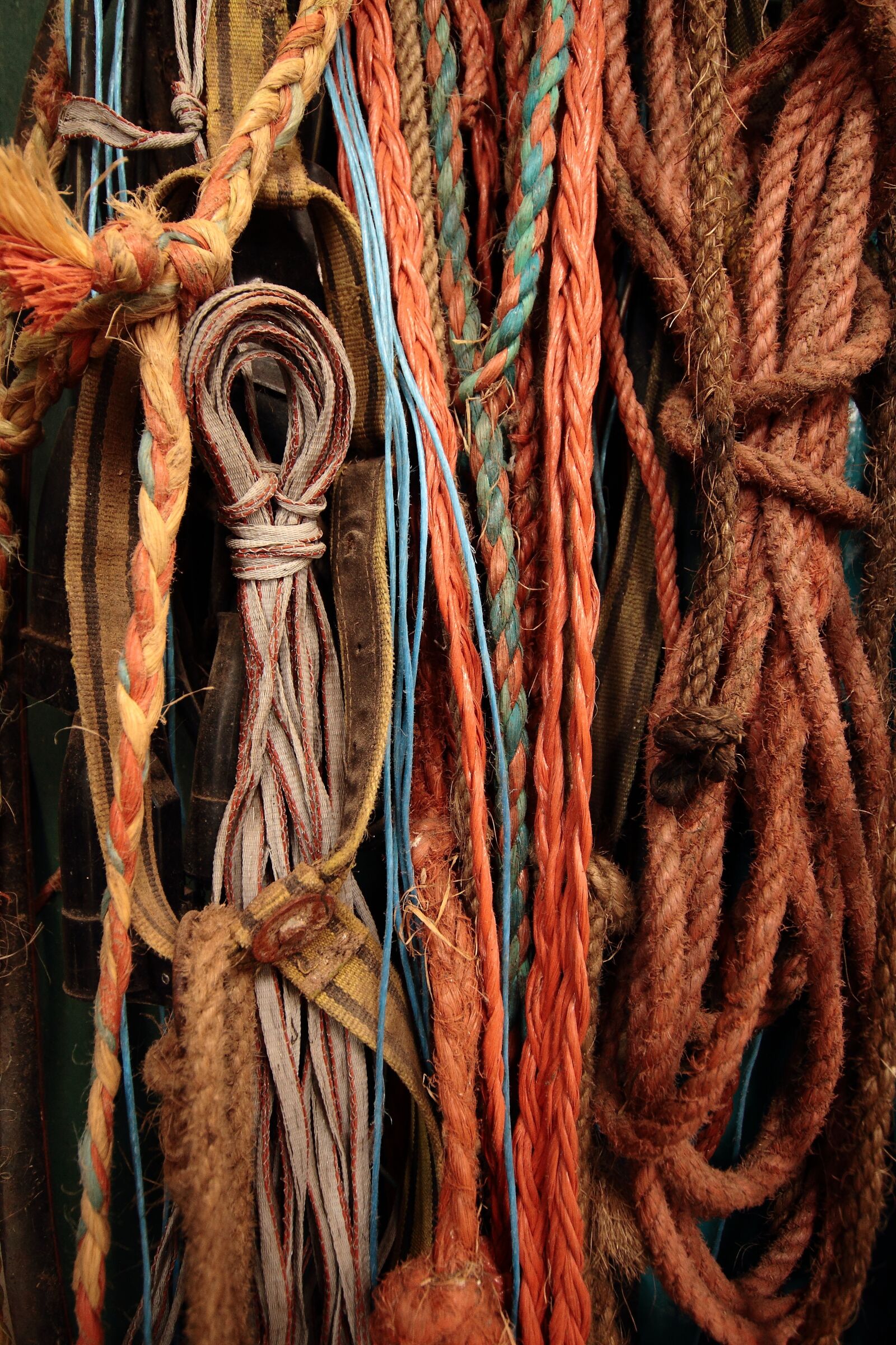 Canon EOS 7D sample photo. Rope, knot, tros photography