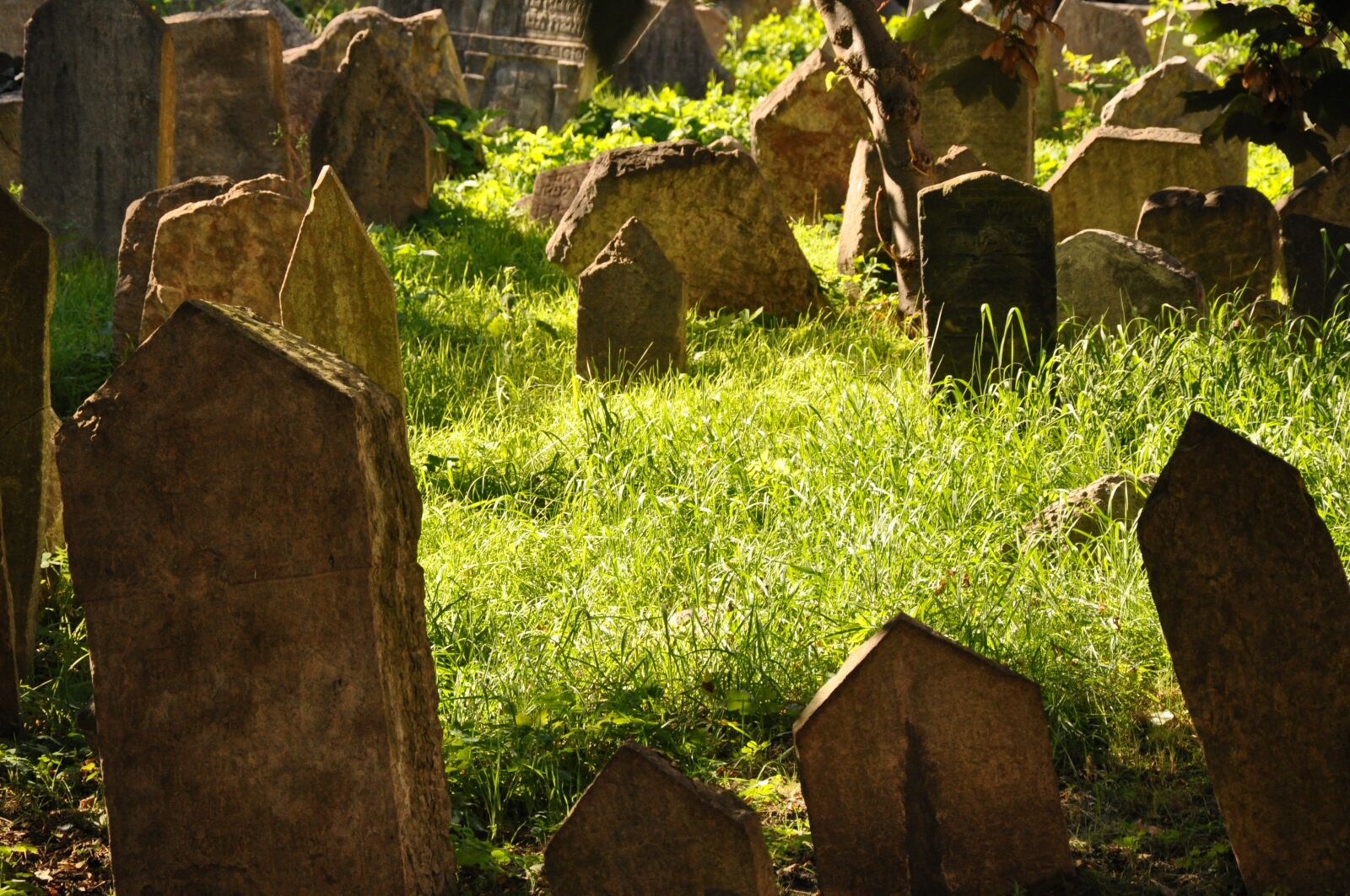 Nikon D90 sample photo. Prague, jewish cemetery, old photography