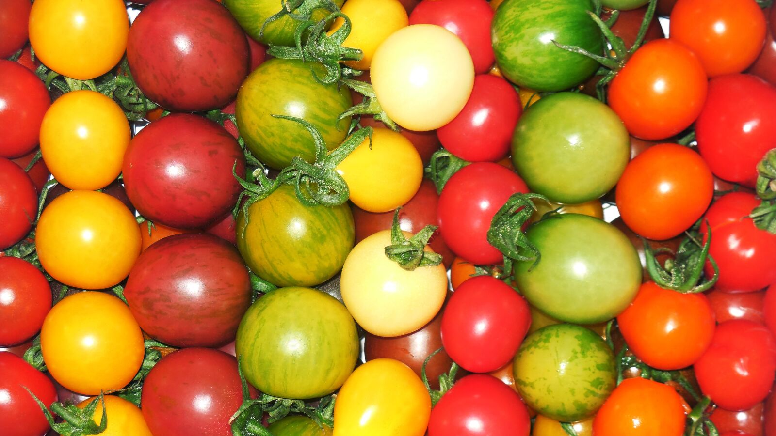 Nikon Coolpix S6400 sample photo. Tomato, petit tomatoes, red photography