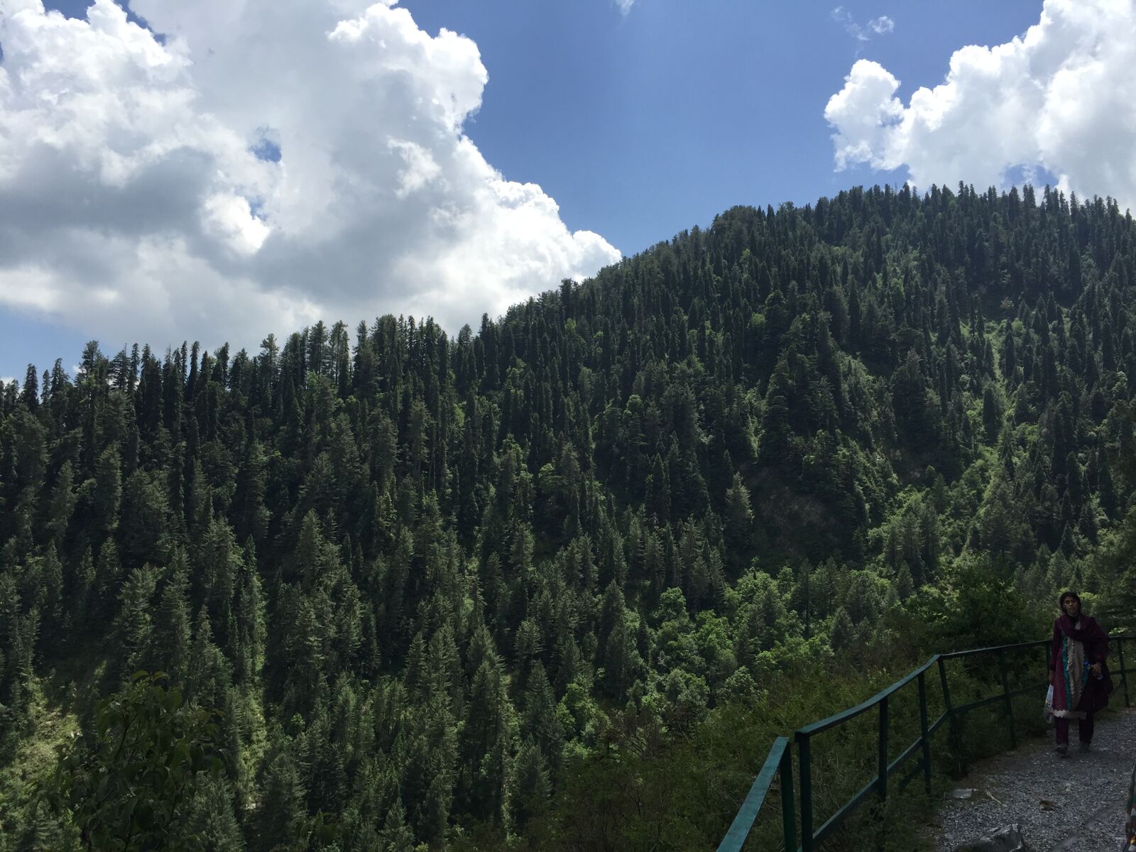 iPhone 6 Plus back camera 4.15mm f/2.2 sample photo. Pipeline, track, nathiyagali, pakistan photography
