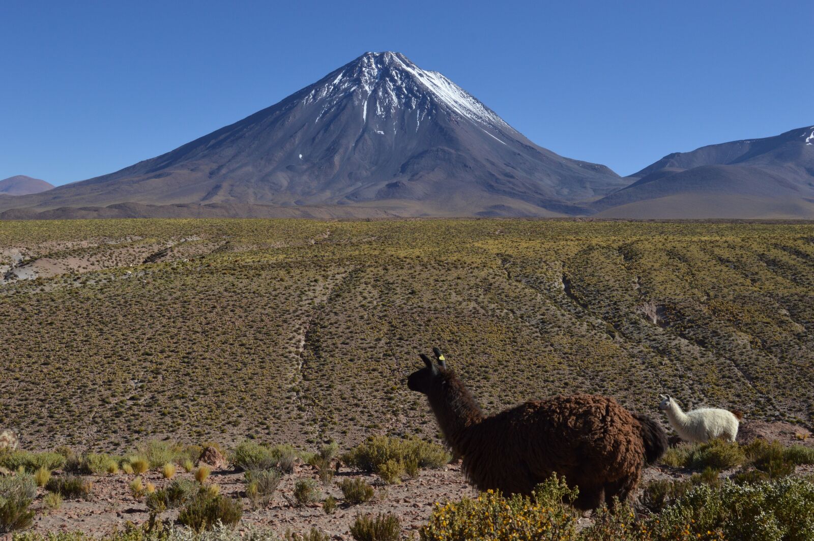 Nikon D3200 sample photo. San pedro de atacama photography