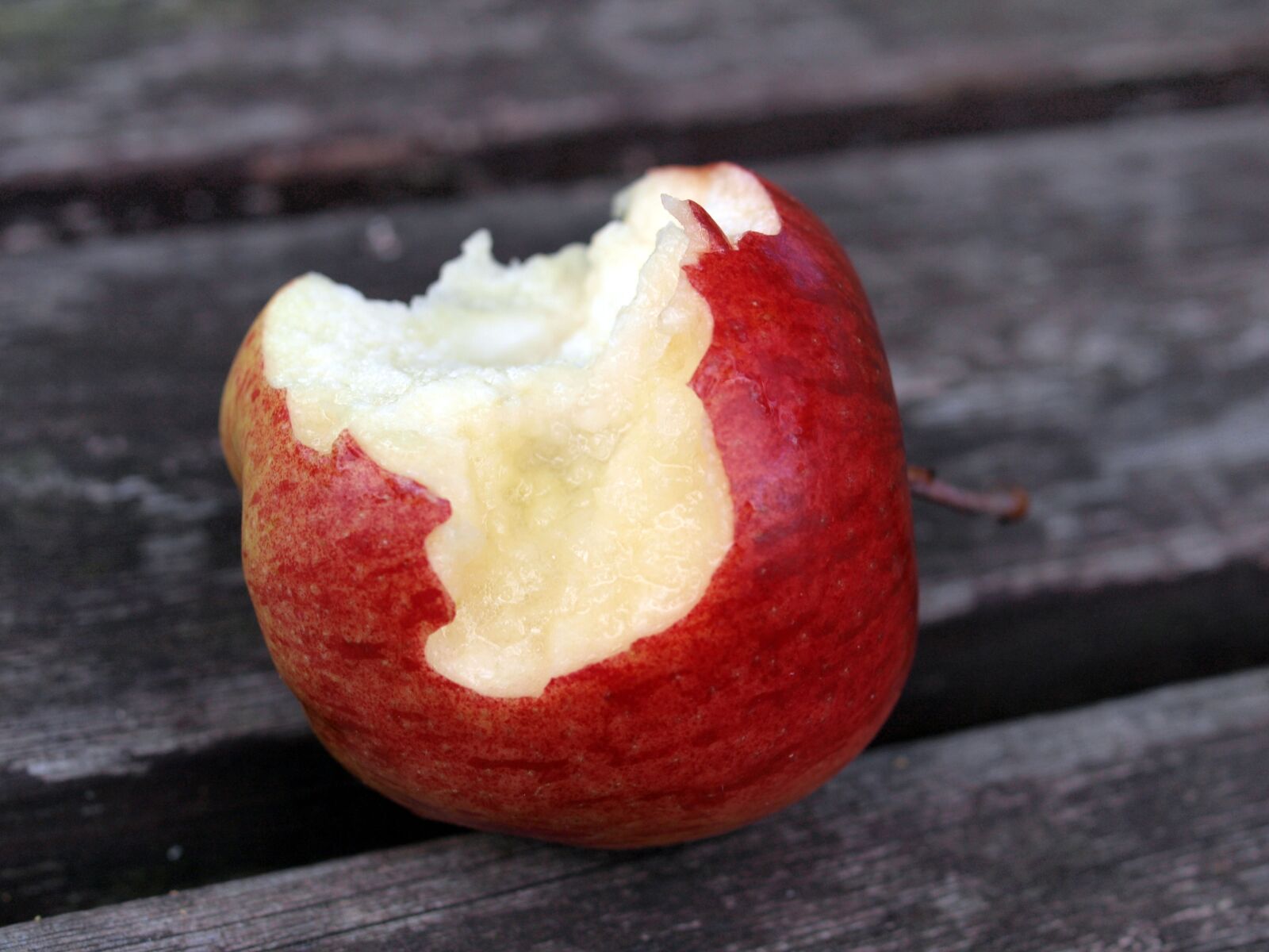 Olympus E-520 (EVOLT E-520) sample photo. Apple, bite, food photography