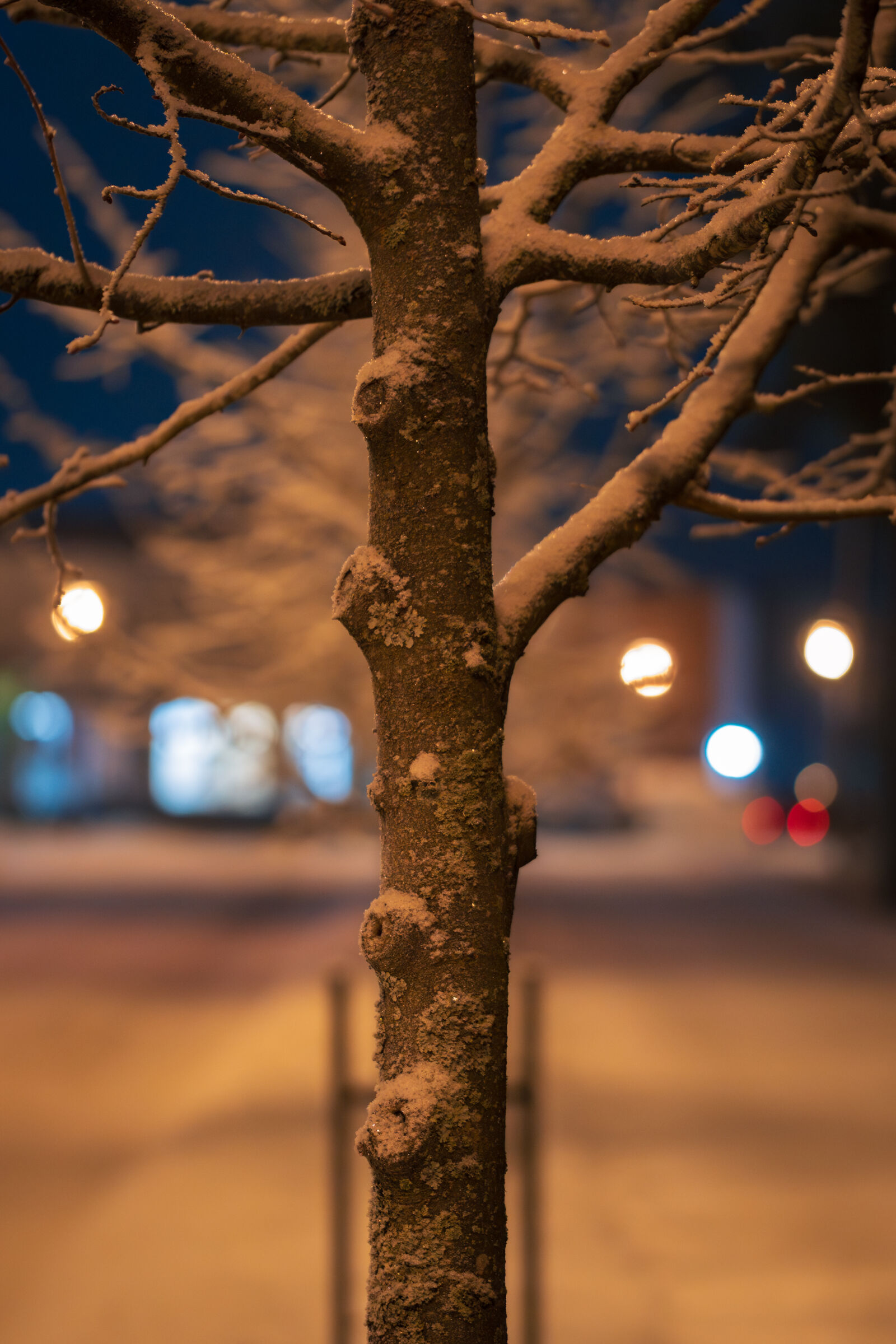 Nikon Z6 III sample photo