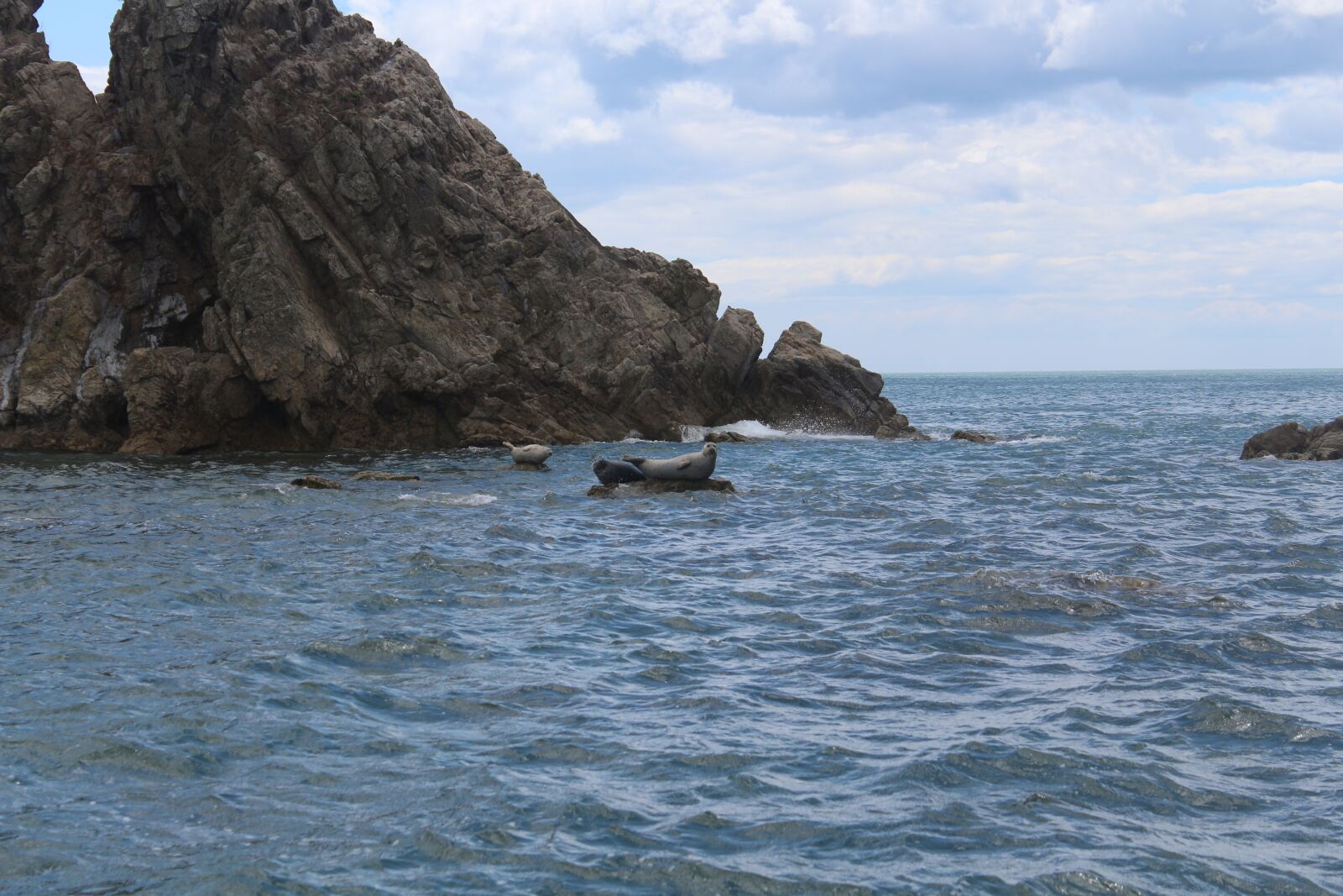 Canon EOS 650D (EOS Rebel T4i / EOS Kiss X6i) sample photo. Russia, primorsky krai, vladivostok photography