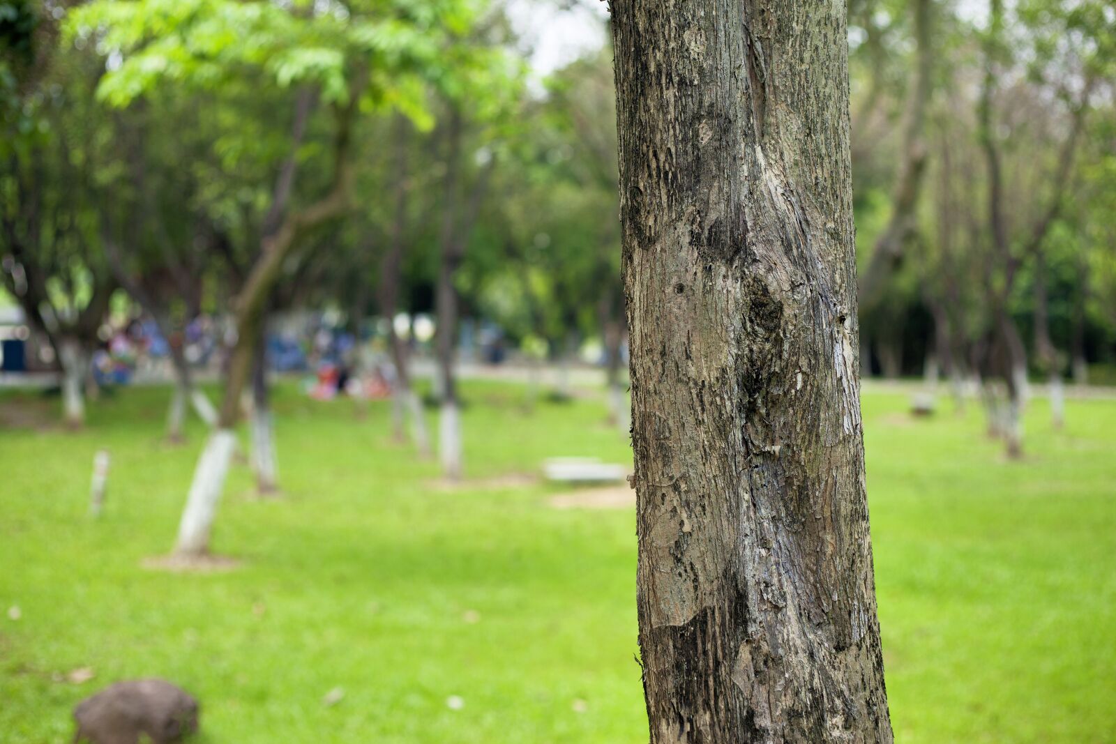 Canon EOS 5D Mark II sample photo