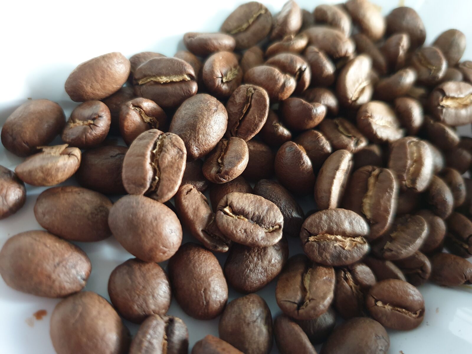 Samsung Galaxy S9 sample photo. Bean, coffee, coffee beans photography