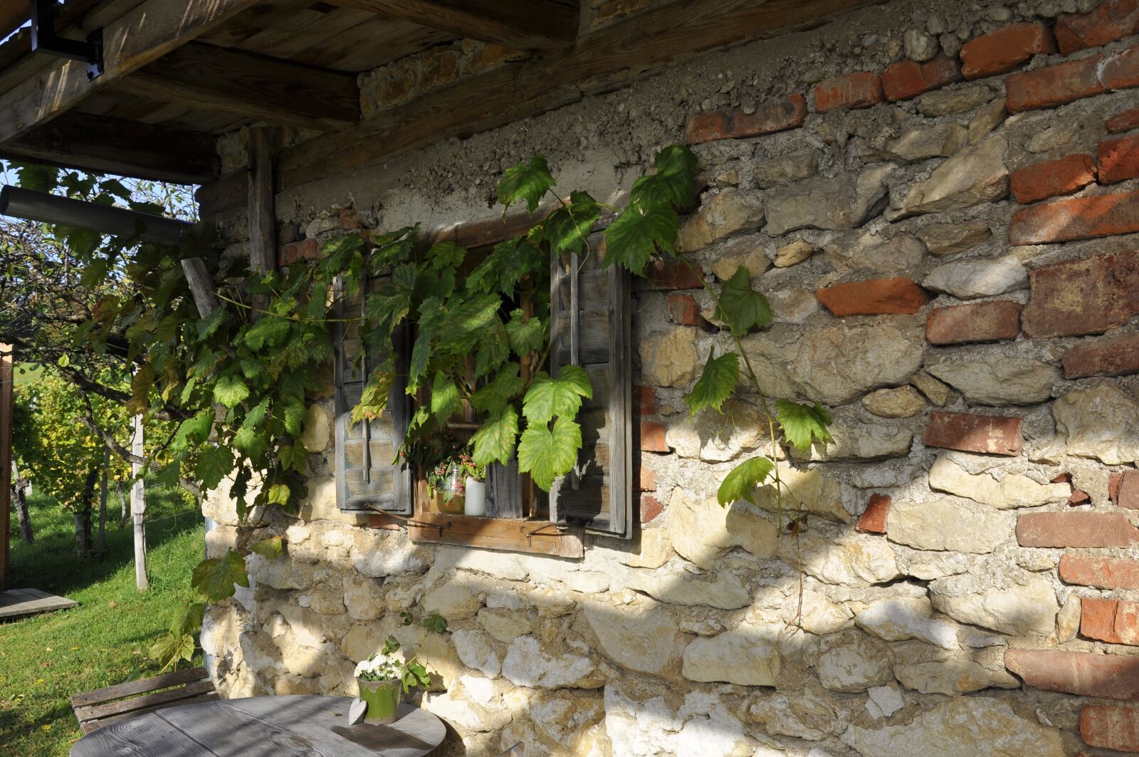 Nikon D90 sample photo. Southern styria, wine, autumn photography