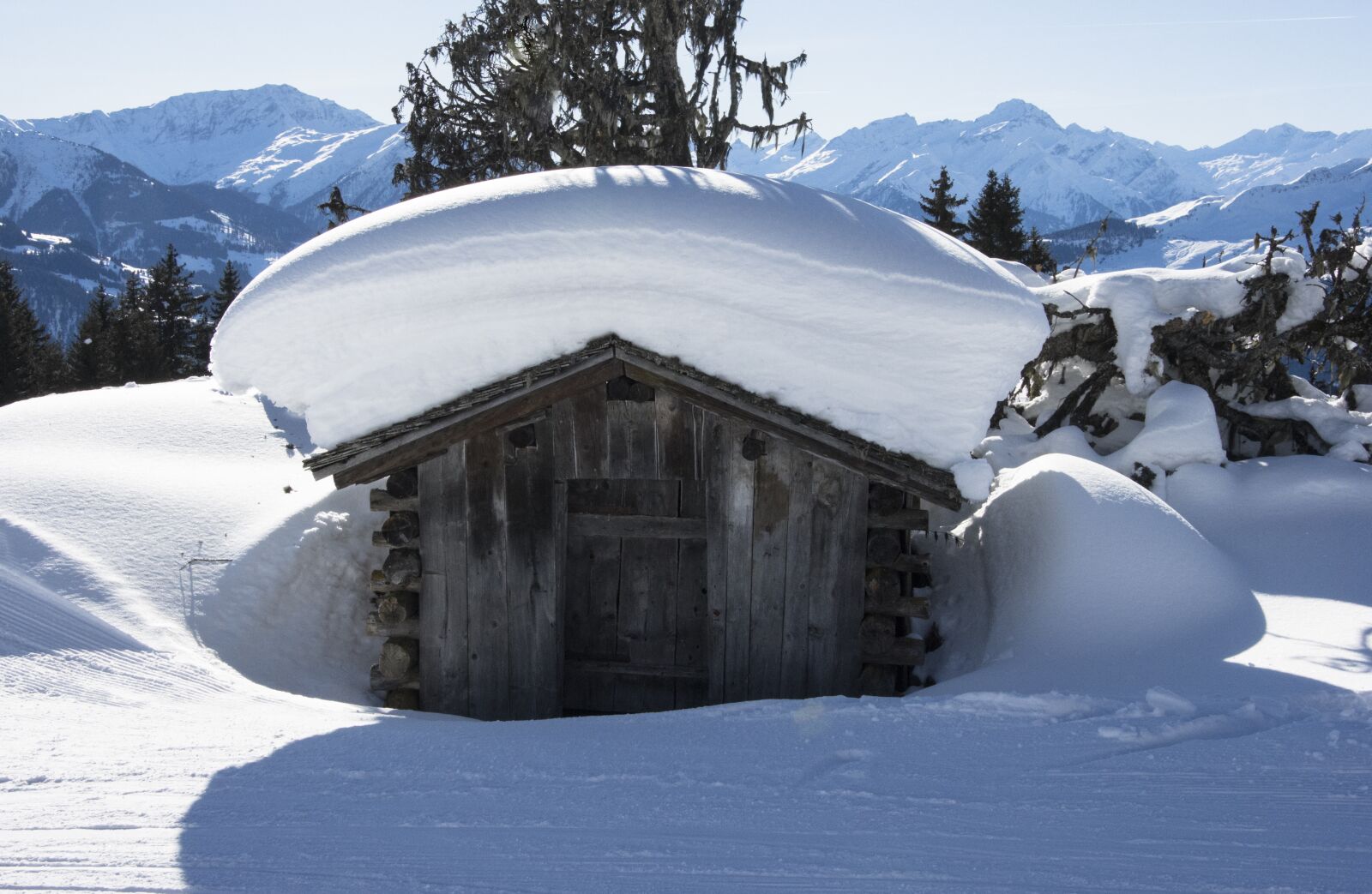 Nikon D7200 sample photo. Snow, winter, cold photography
