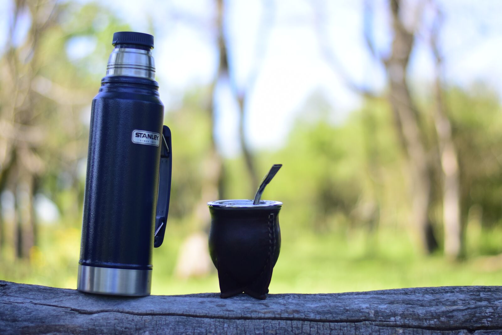 Nikon D5300 sample photo. Yerba, green, matt photography