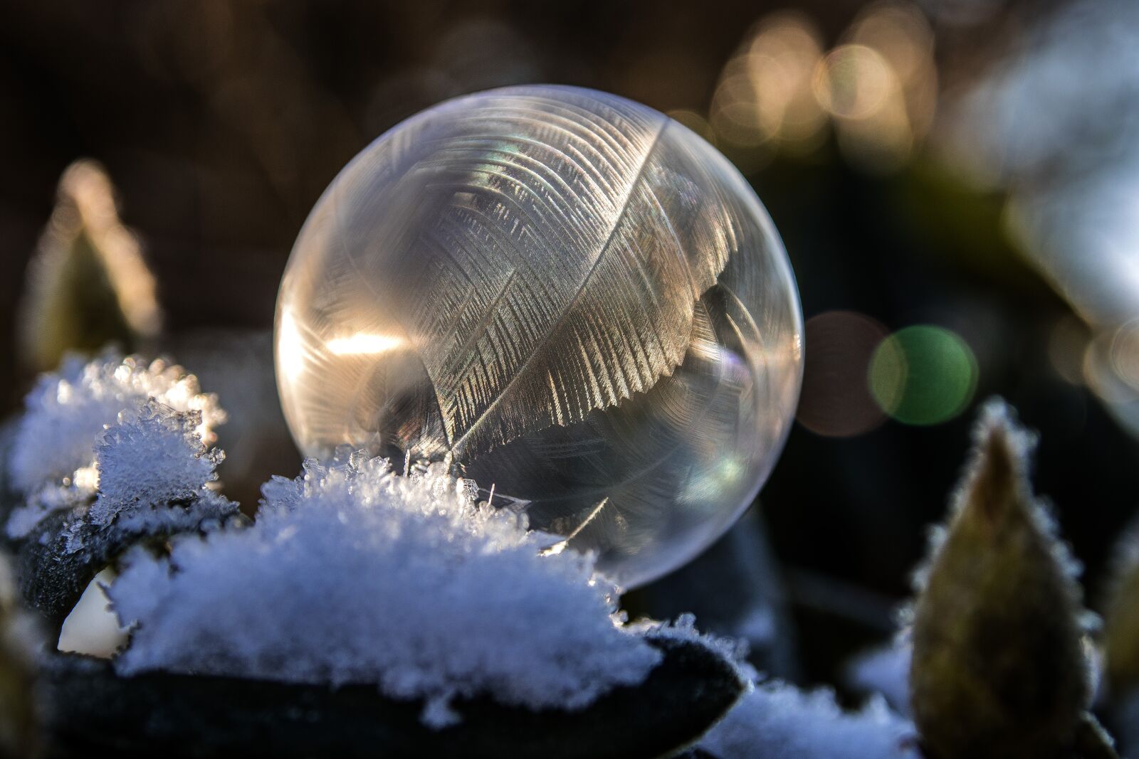 Canon EOS 80D sample photo. Soap bubble, ice, eiskristalle photography