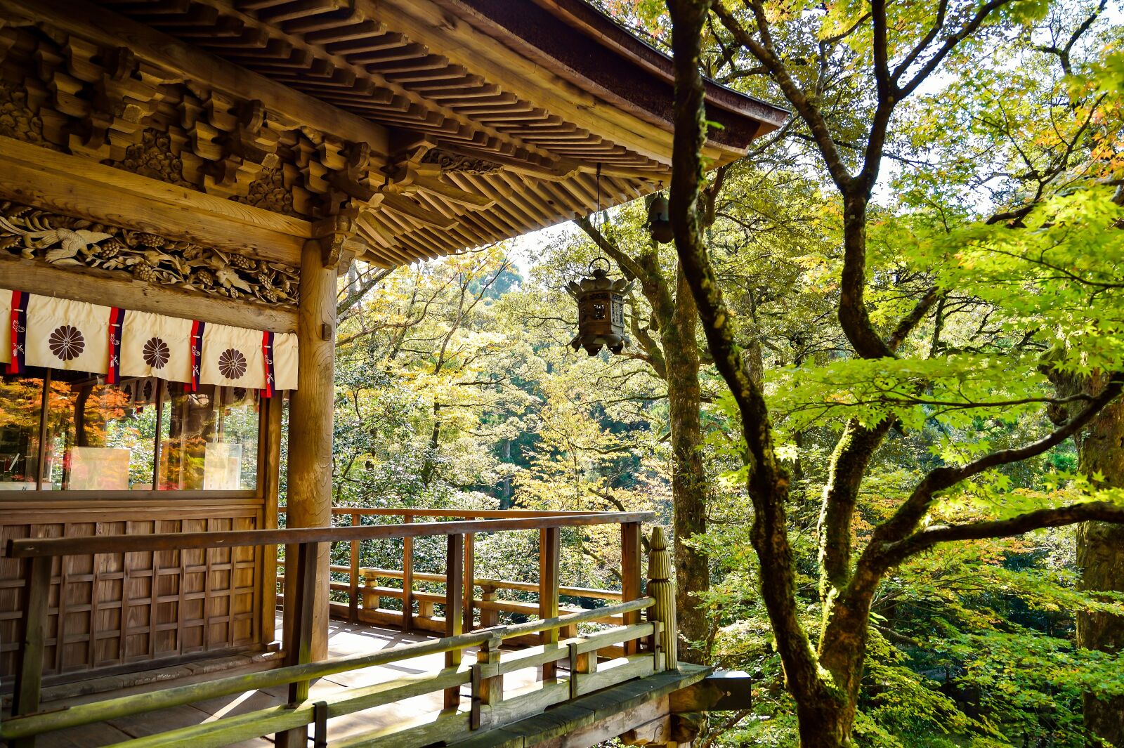 Nikon Df sample photo. Japan, landscape, natural photography