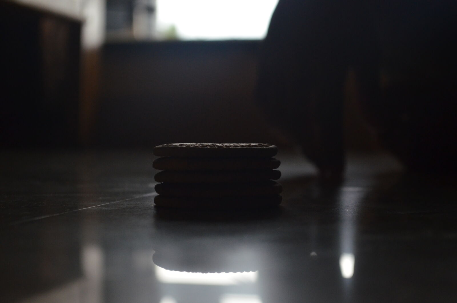 Nikon D5100 sample photo. Biscuit, floor photography