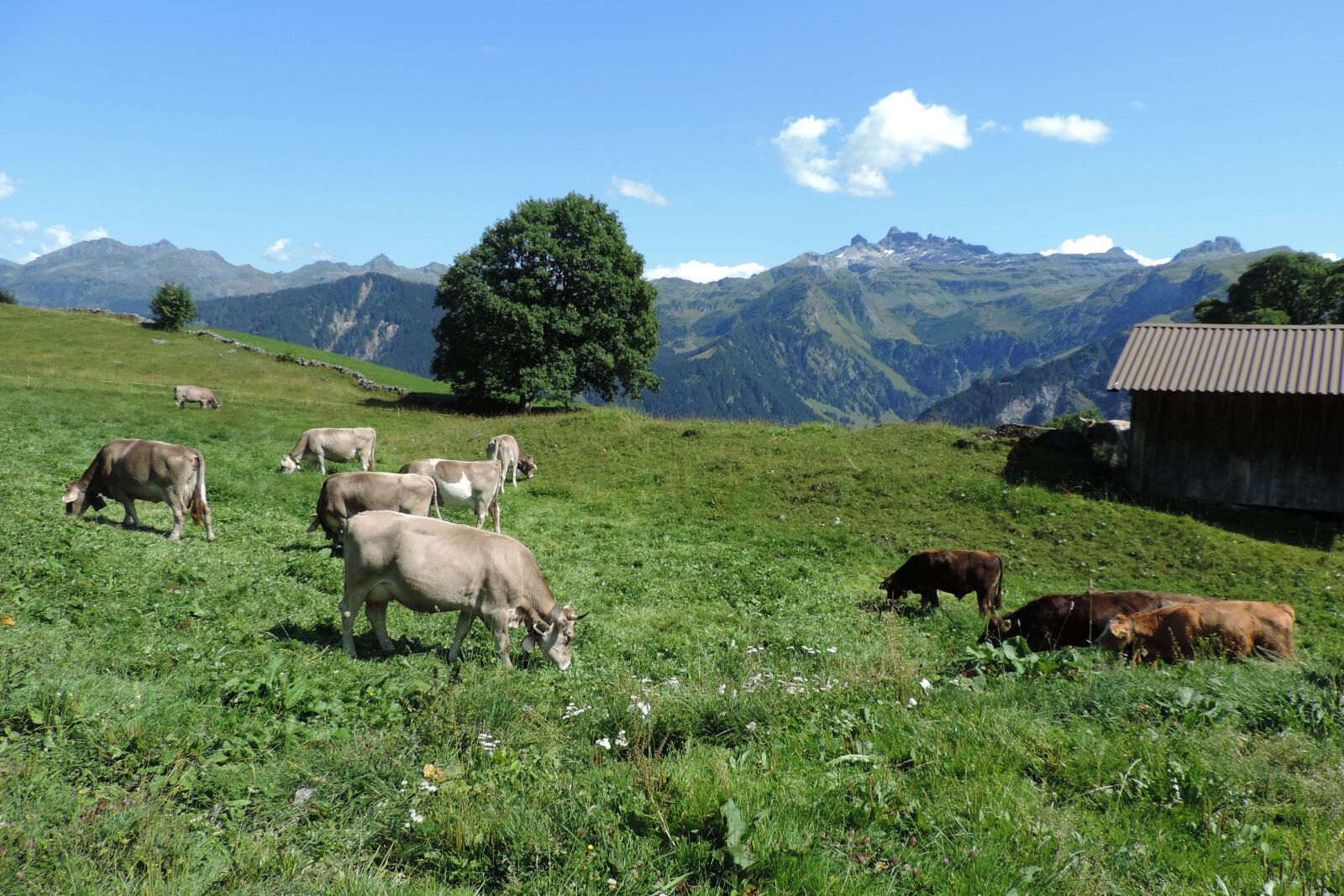 Nikon Coolpix P520 sample photo. Switzerland, alps, landscape photography