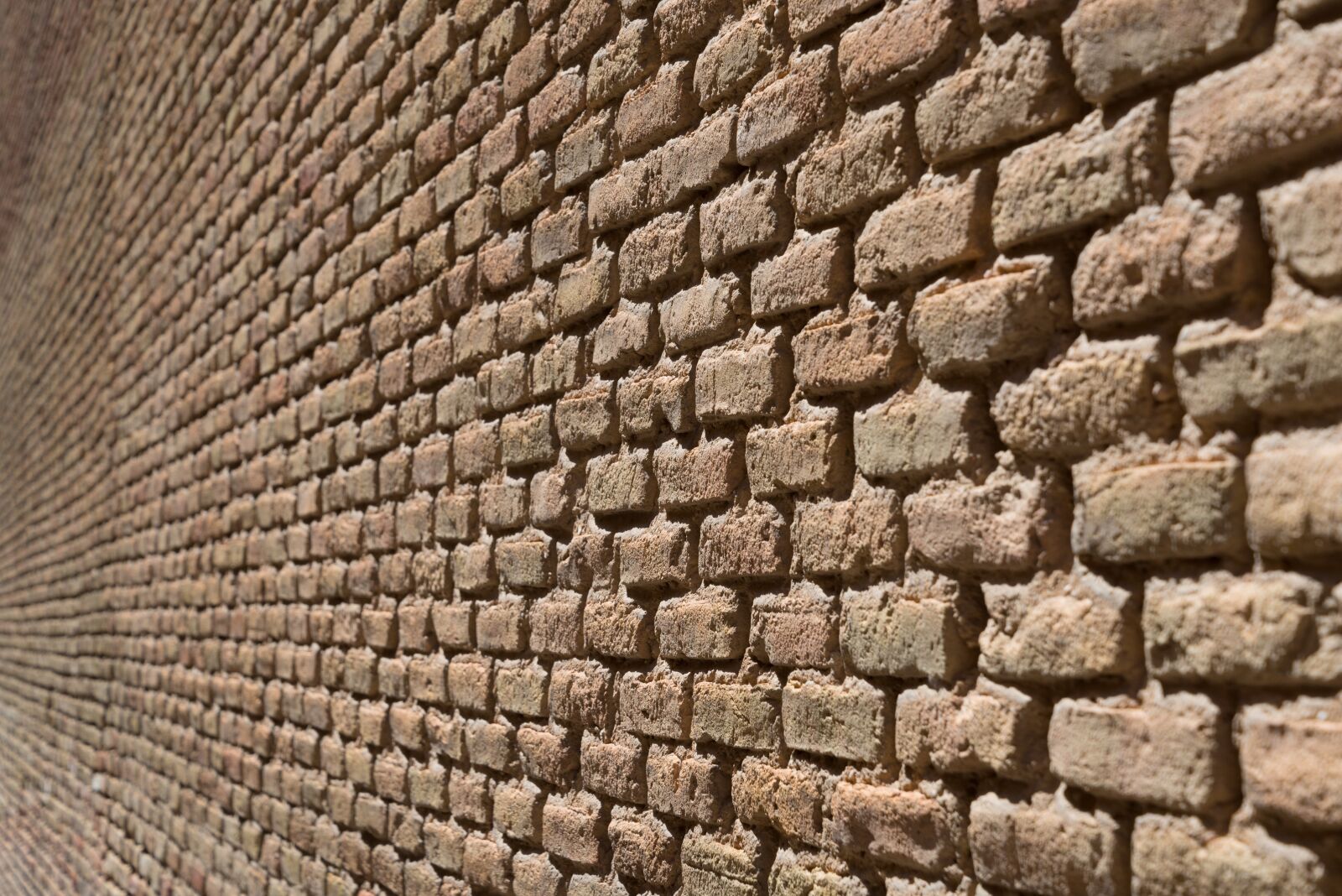 Nikon D610 sample photo. Wall, bricks, texture photography
