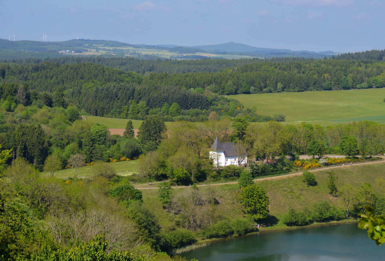 Nikon D3200 sample photo. Eifel, vulkaneifel, daun photography