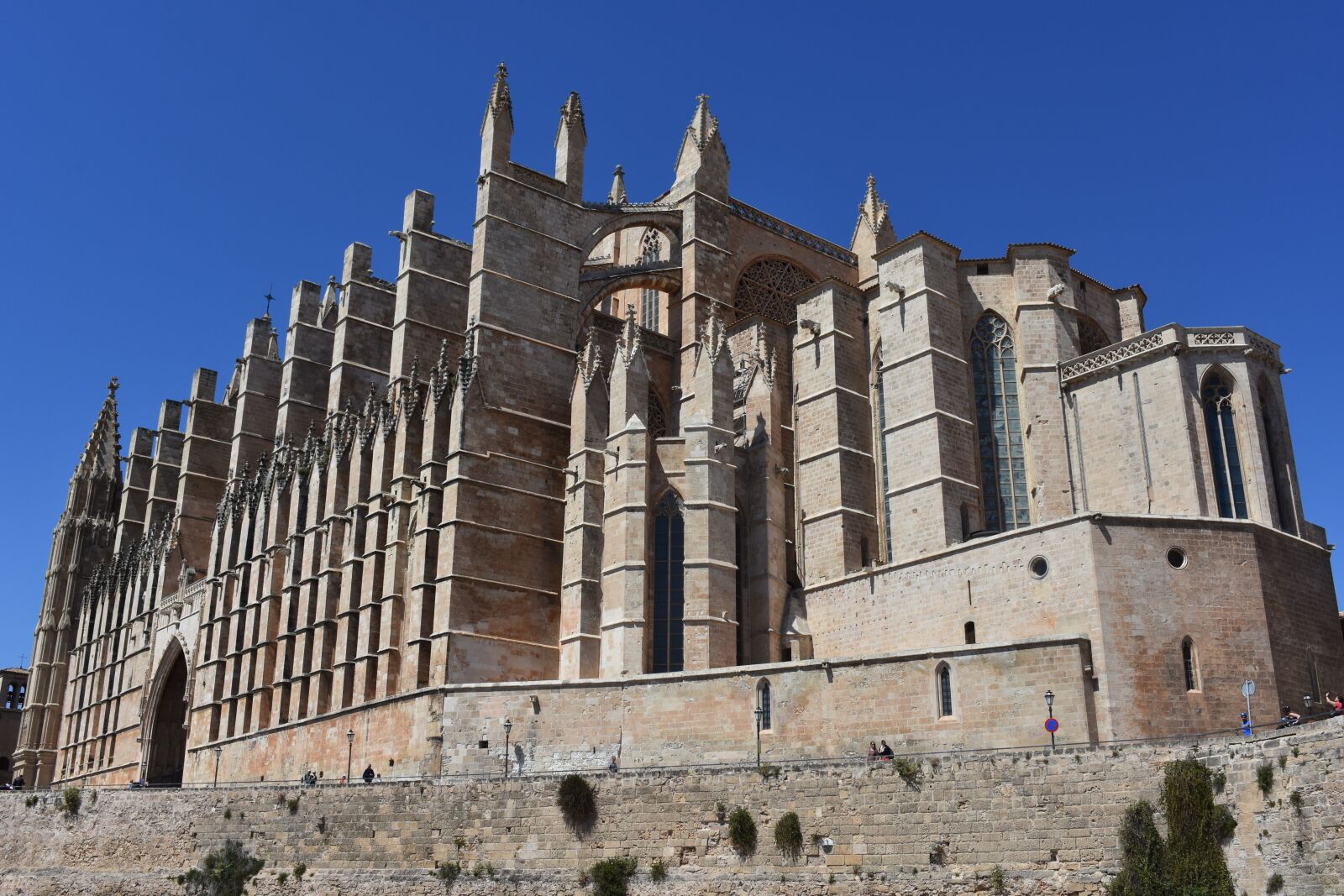 Nikon D7200 sample photo. Cathedral, palma de mallorca photography