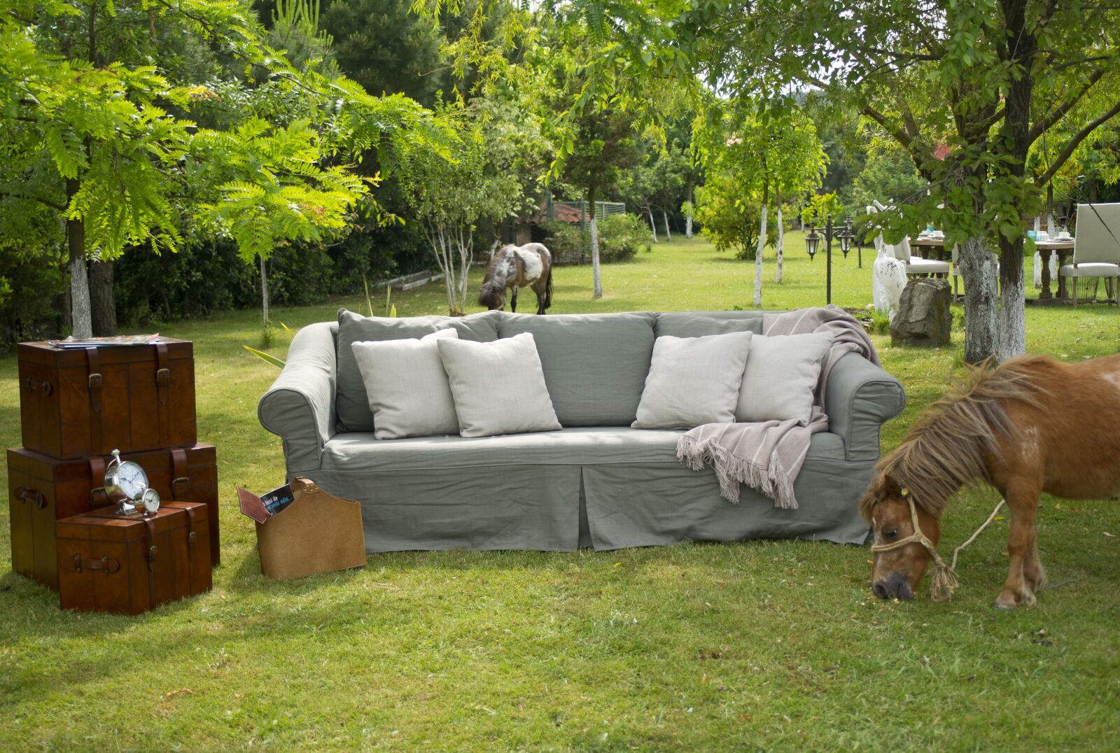 Sony Alpha DSLR-A850 sample photo. Armchair, garden, decorative photography