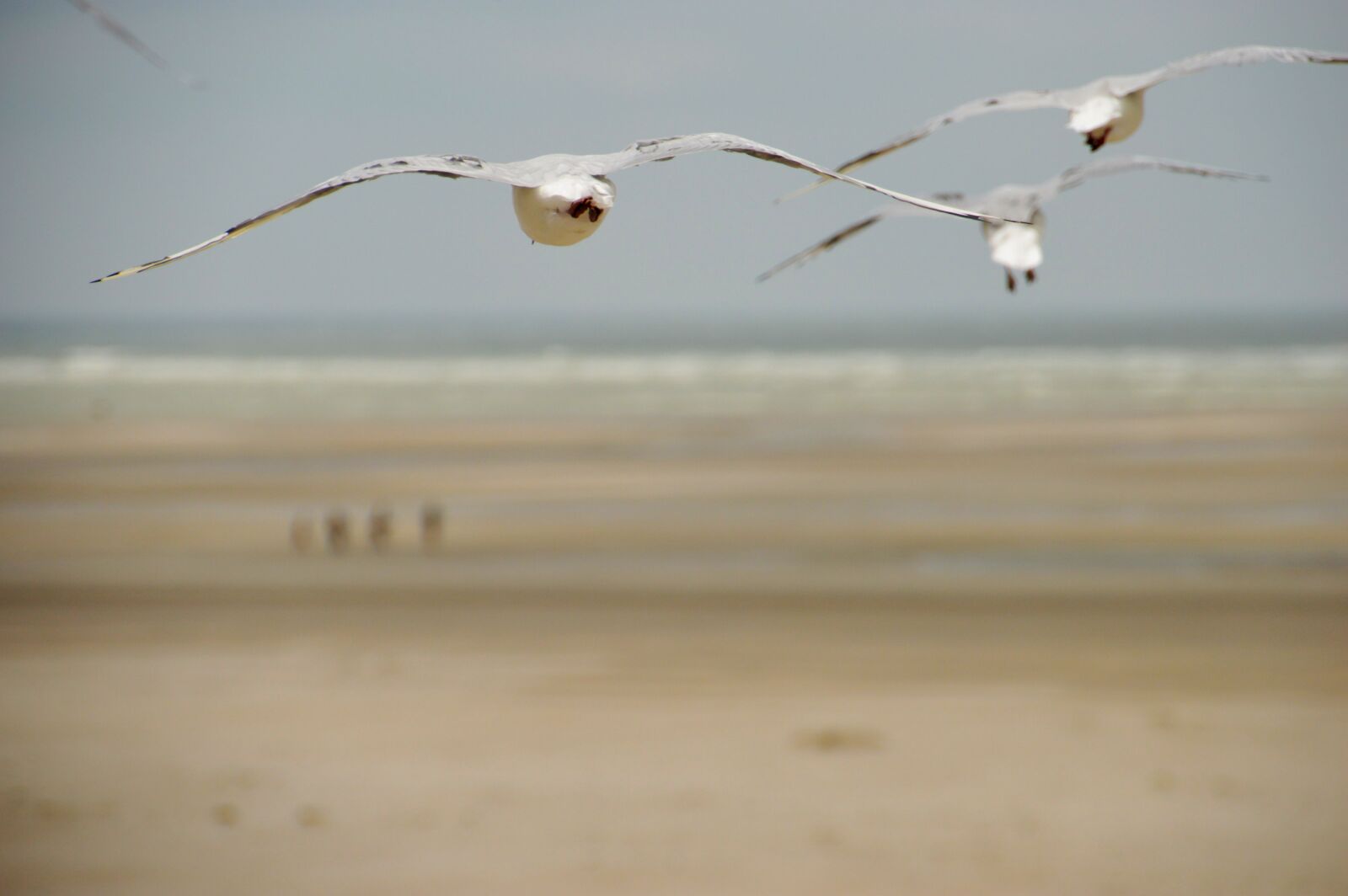 Nikon D3200 sample photo. Sea, beach, stella beach photography