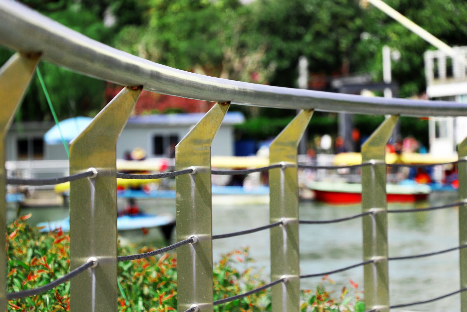 Canon EOS 77D (EOS 9000D / EOS 770D) sample photo. Nature, outdoor, summer photography