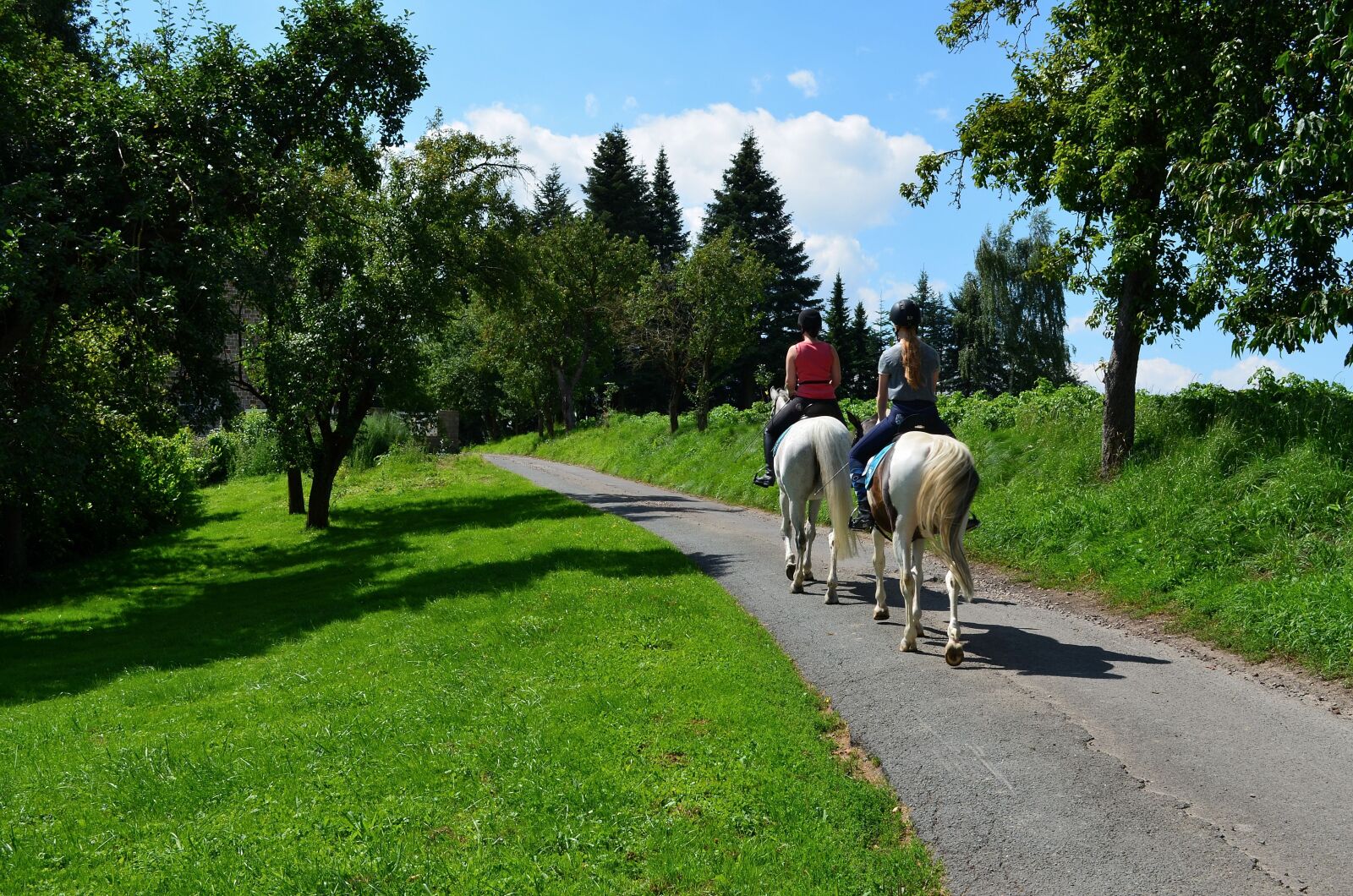 Nikon D5100 sample photo. Ride, equestrian, riding horses photography