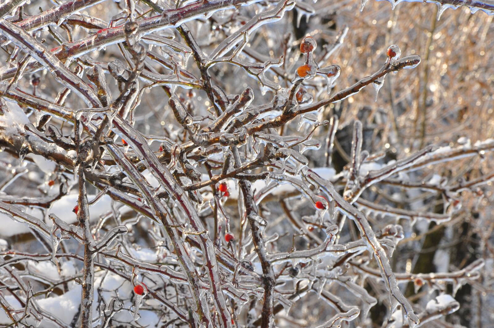 Nikon D90 sample photo. Winter, ice, będzin photography