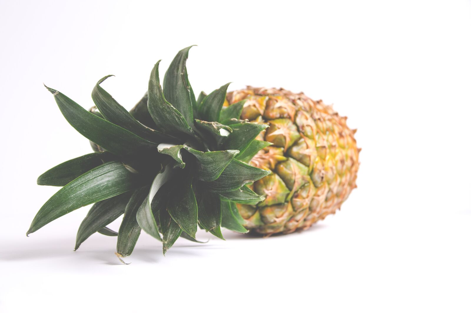 Sony SLT-A58 sample photo. Pineapple, nature, isolated photography