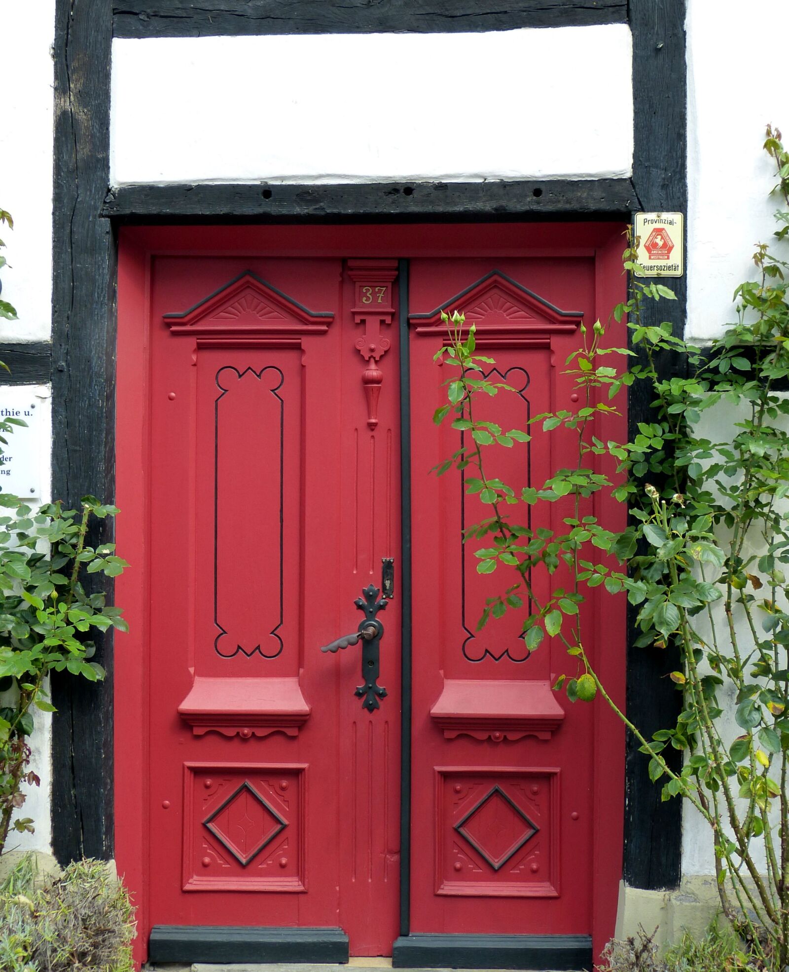 Panasonic Lumix DMC-FZ150 sample photo. Door, goal, house entrance photography