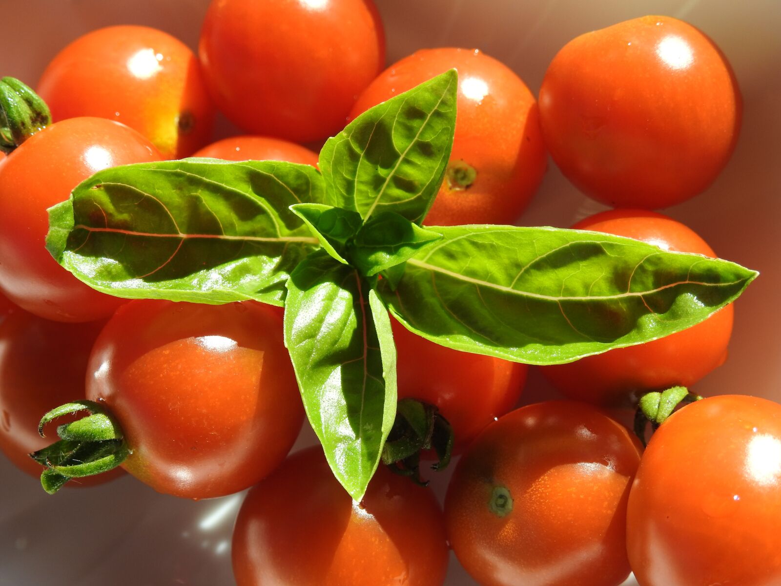 Nikon Coolpix P900 sample photo. Eat, tomatoes, food photography