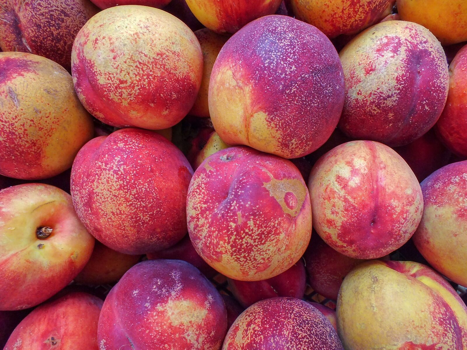 FujiFilm FinePix HS20 EXR (FinePix HS22 EXR) sample photo. Background, fruits, sweet photography
