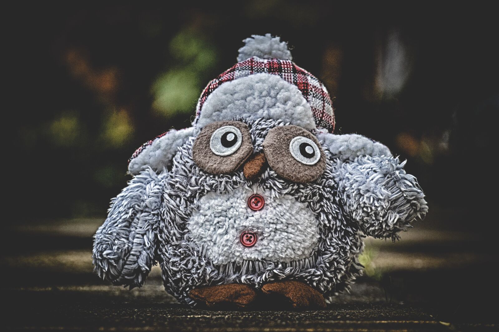 Nikon D3200 sample photo. Owl, stuffed animal, cap photography