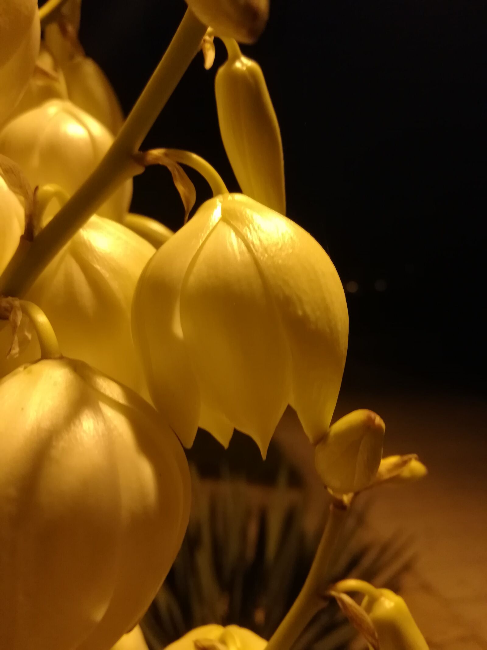 HUAWEI c??Eu?s 6X sample photo