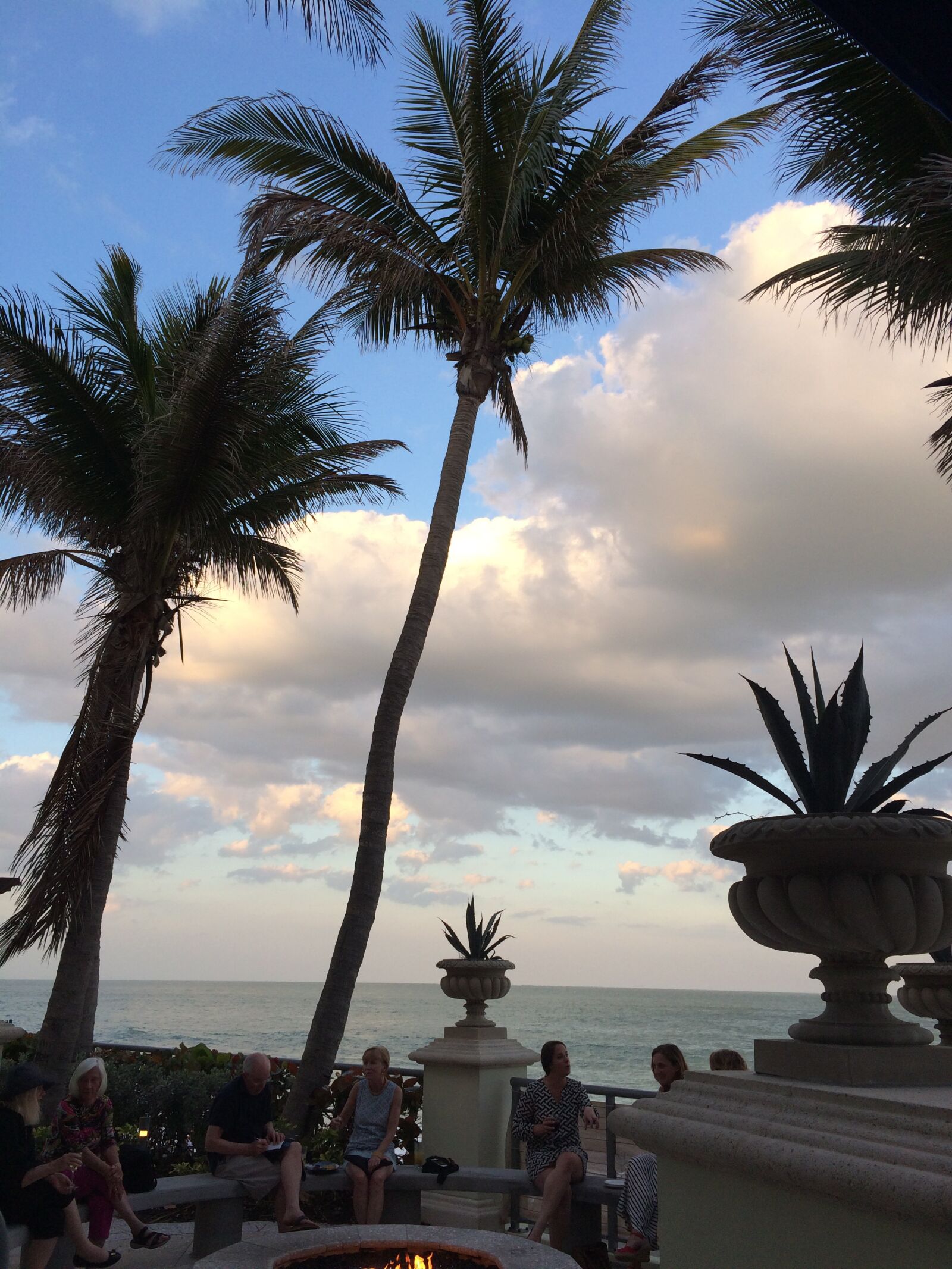 Apple iPhone 5s sample photo. Palm-trees, evening, ocean photography