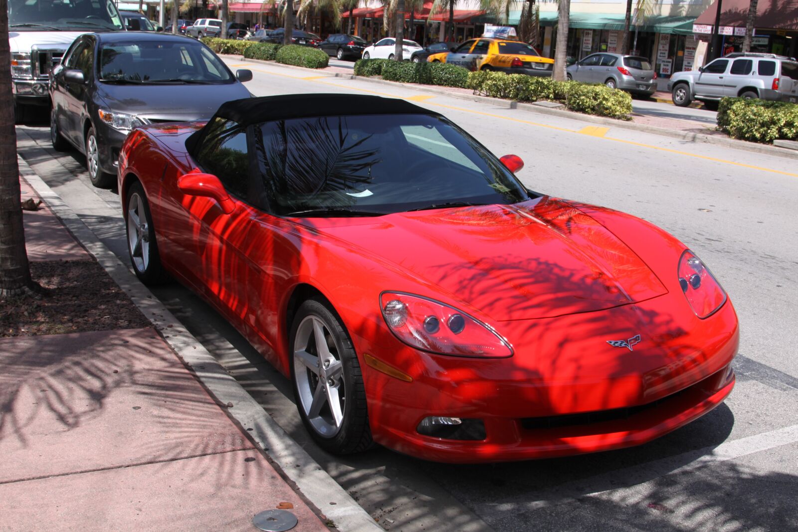 Canon EOS 50D sample photo. Miami, america, united states photography