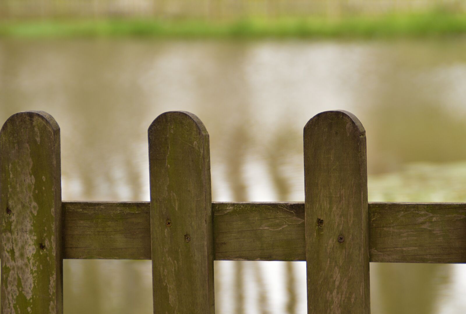 Nikon D3200 sample photo. Close, lake, water photography