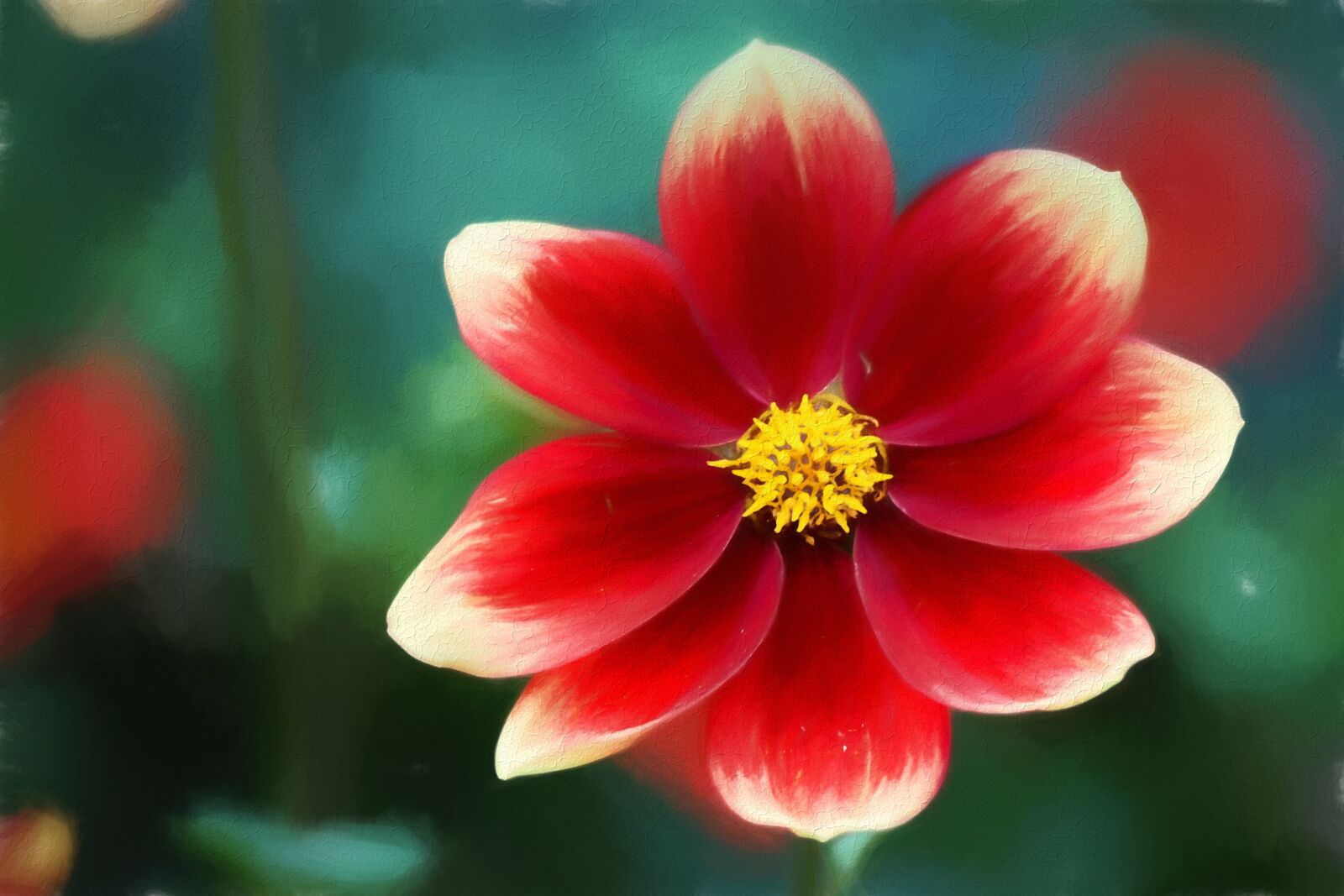 Nikon D3000 sample photo. Painting, oil painting, photo photography