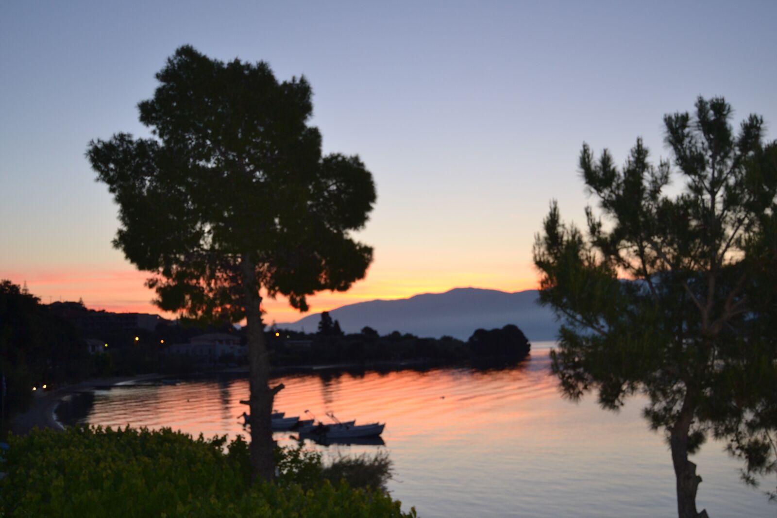 Nikon D3100 sample photo. Sunrise, trees, morning photography