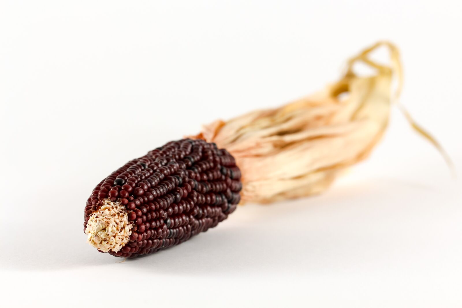 Canon EOS 700D (EOS Rebel T5i / EOS Kiss X7i) sample photo. Corn, ornamental corn, cereals photography