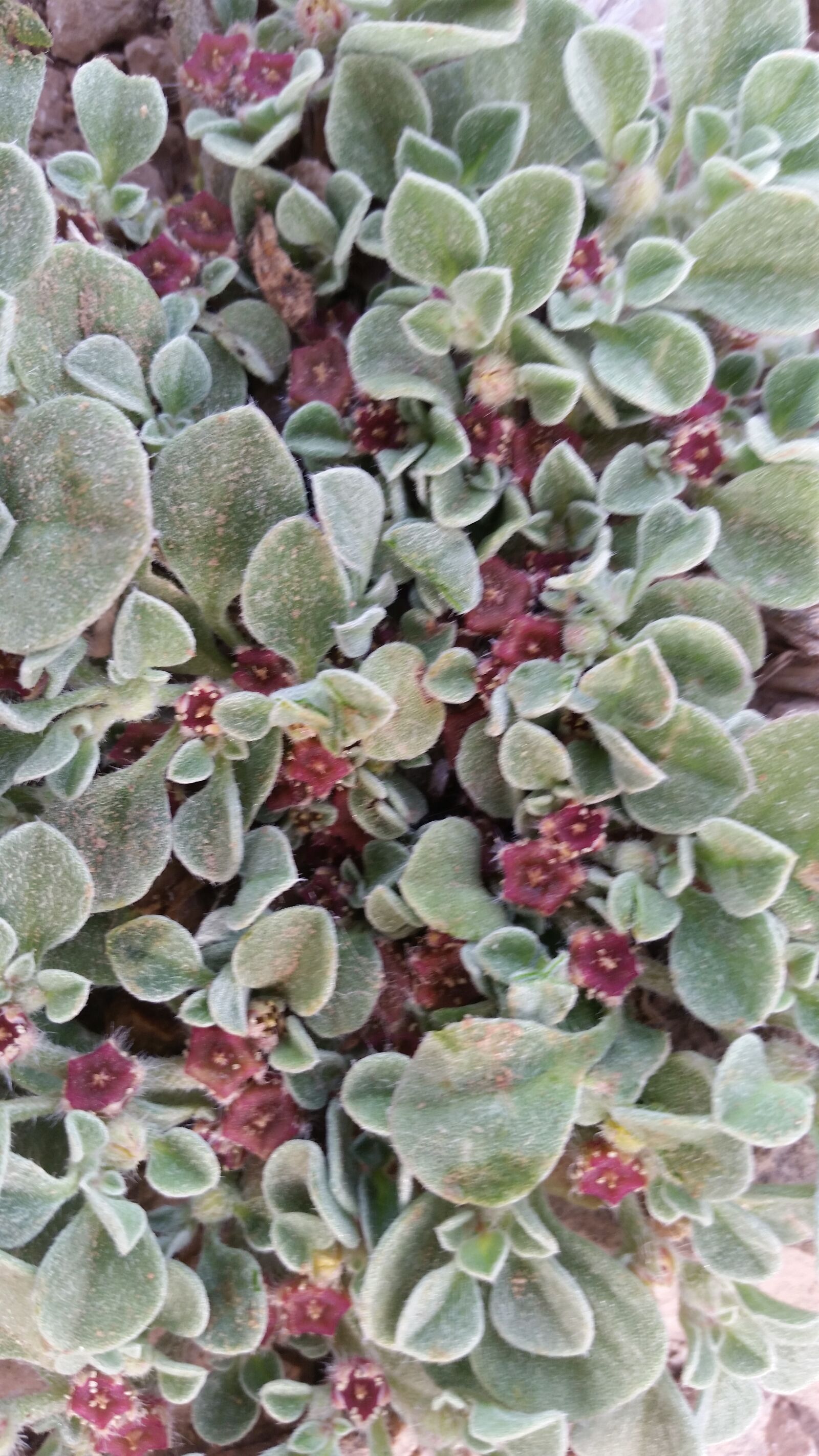 Samsung Galaxy S5 sample photo
