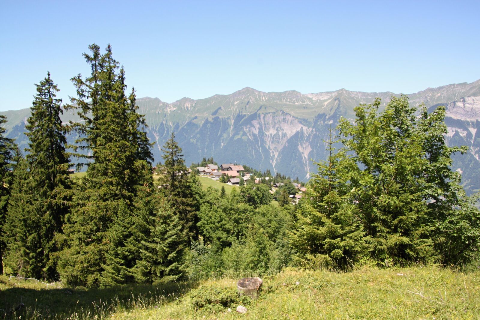 Canon EOS 500D (EOS Rebel T1i / EOS Kiss X3) sample photo. Axalp, alpine, pasture photography