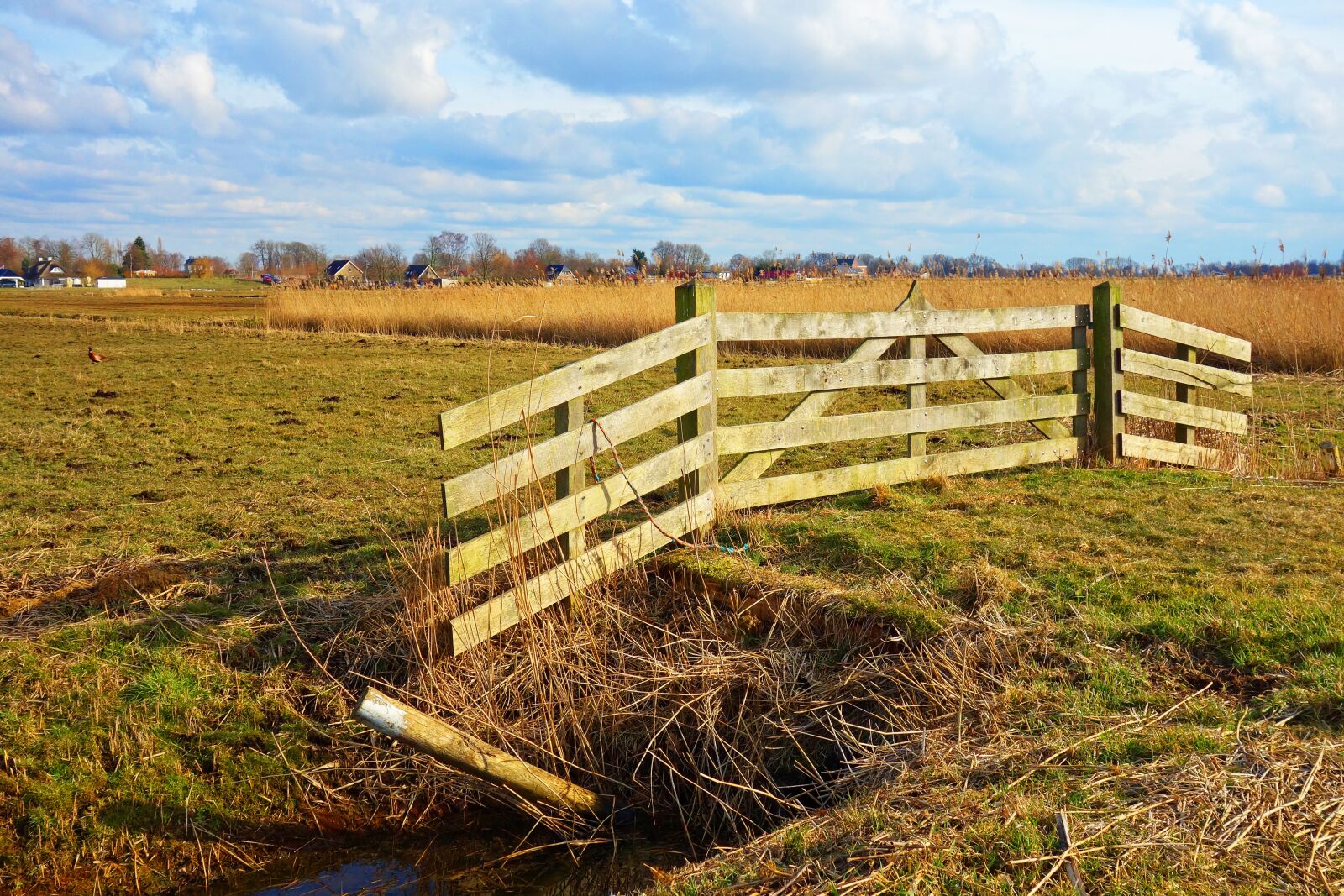 Sony Cyber-shot DSC-RX100 sample photo. Gate, wooden gate, meadow photography