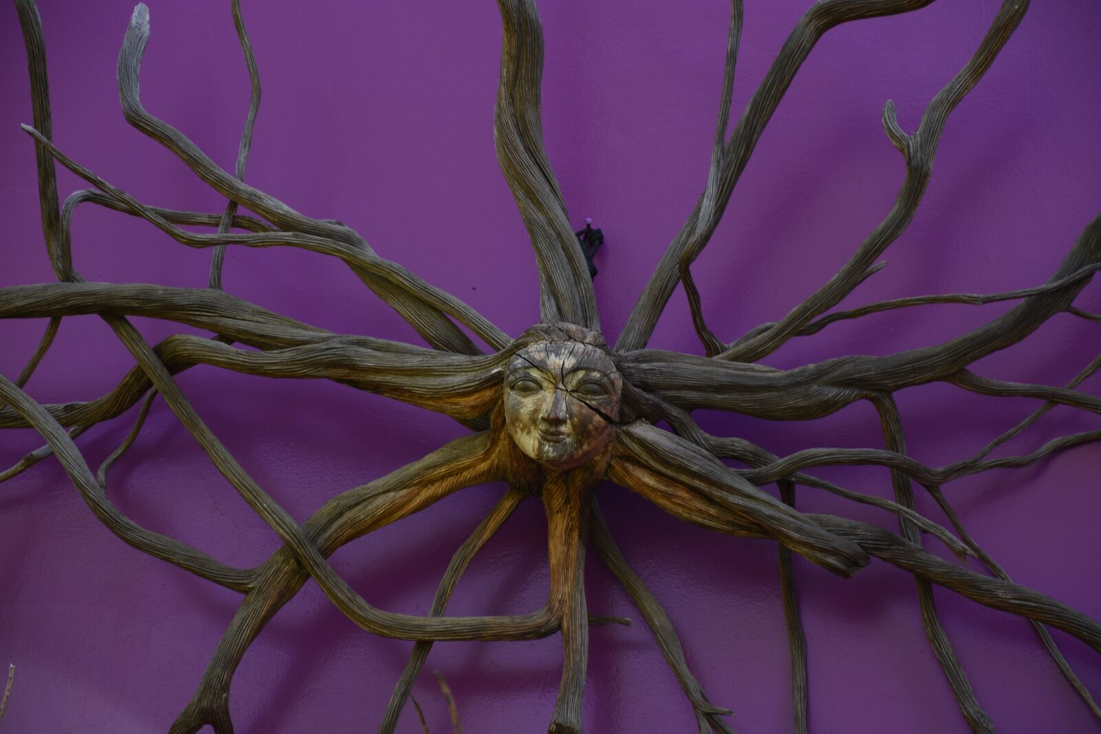 Nikon D7200 sample photo. Garden, artwork, sun photography