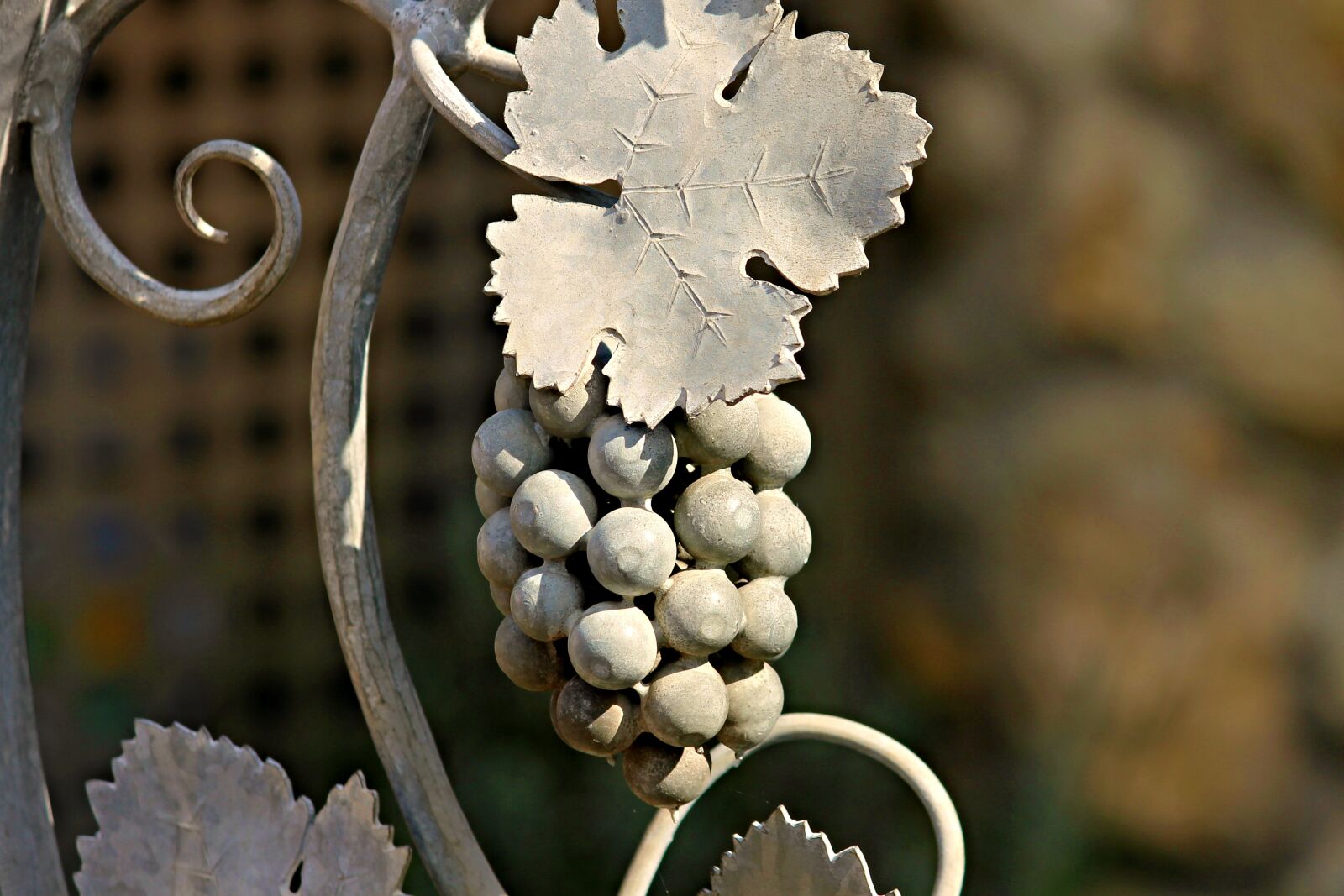 Canon EOS 1100D (EOS Rebel T3 / EOS Kiss X50) sample photo. Grape, wine leaf, metal photography