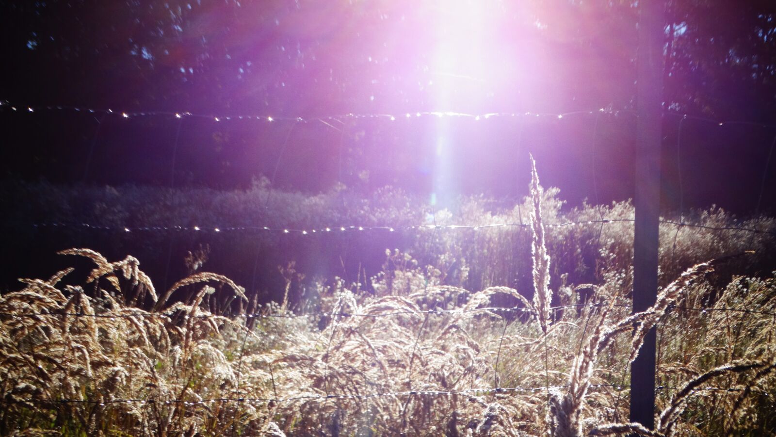 Sony Cyber-shot DSC-HX300 sample photo. Beautiful, nature, morning photography