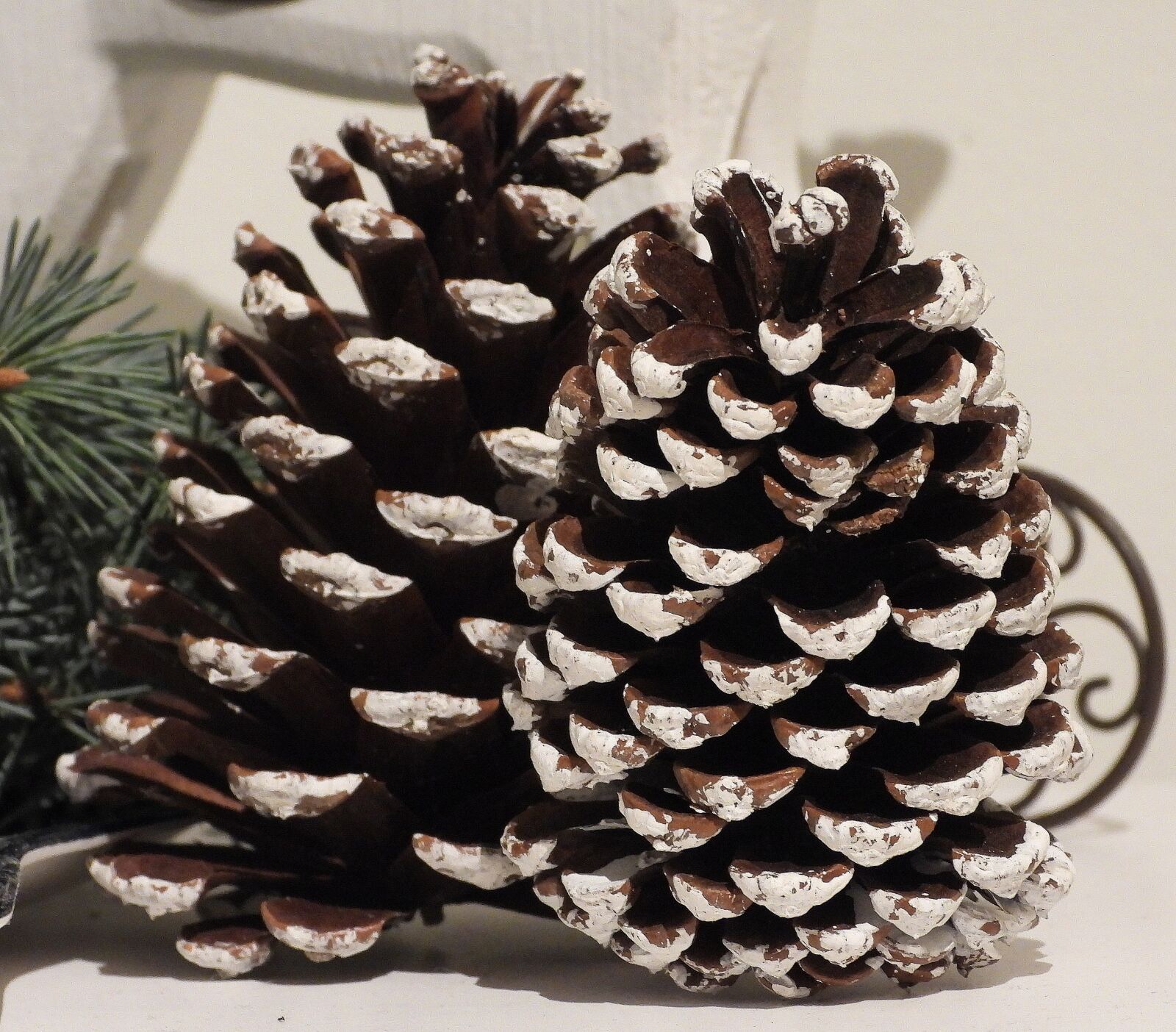 Nikon Coolpix P1000 sample photo. Cones, decoration, christmas photography
