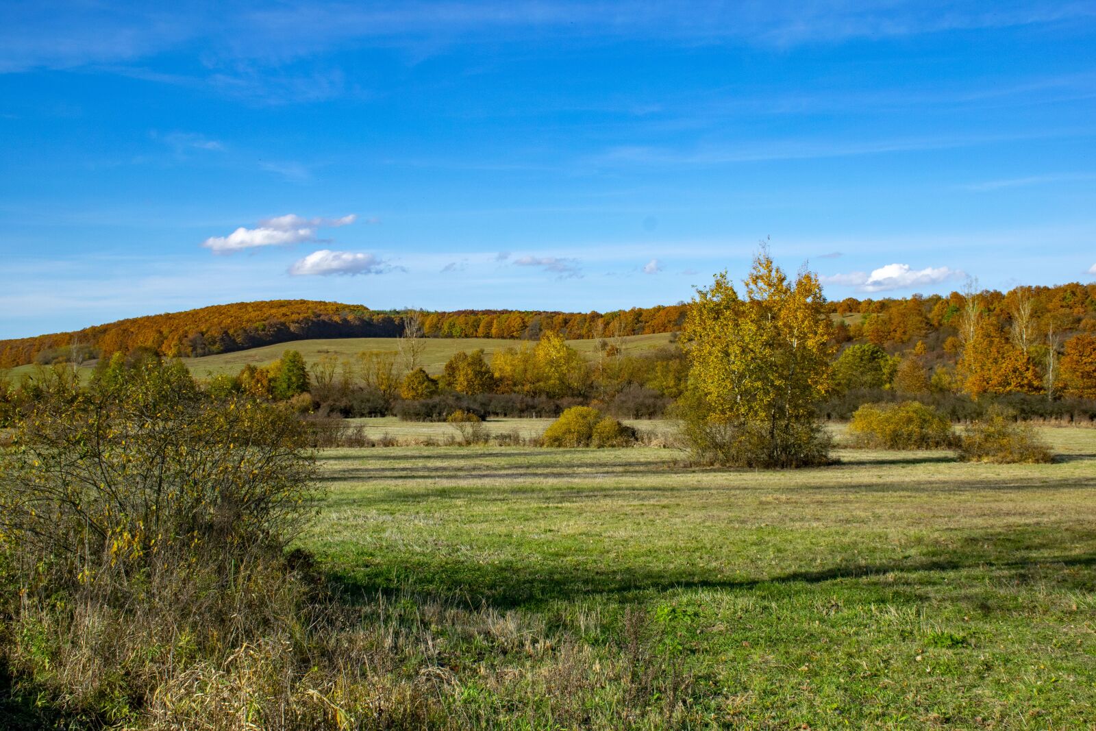 Nikon D5300 sample photo. Hungary, trizs, landscape photography
