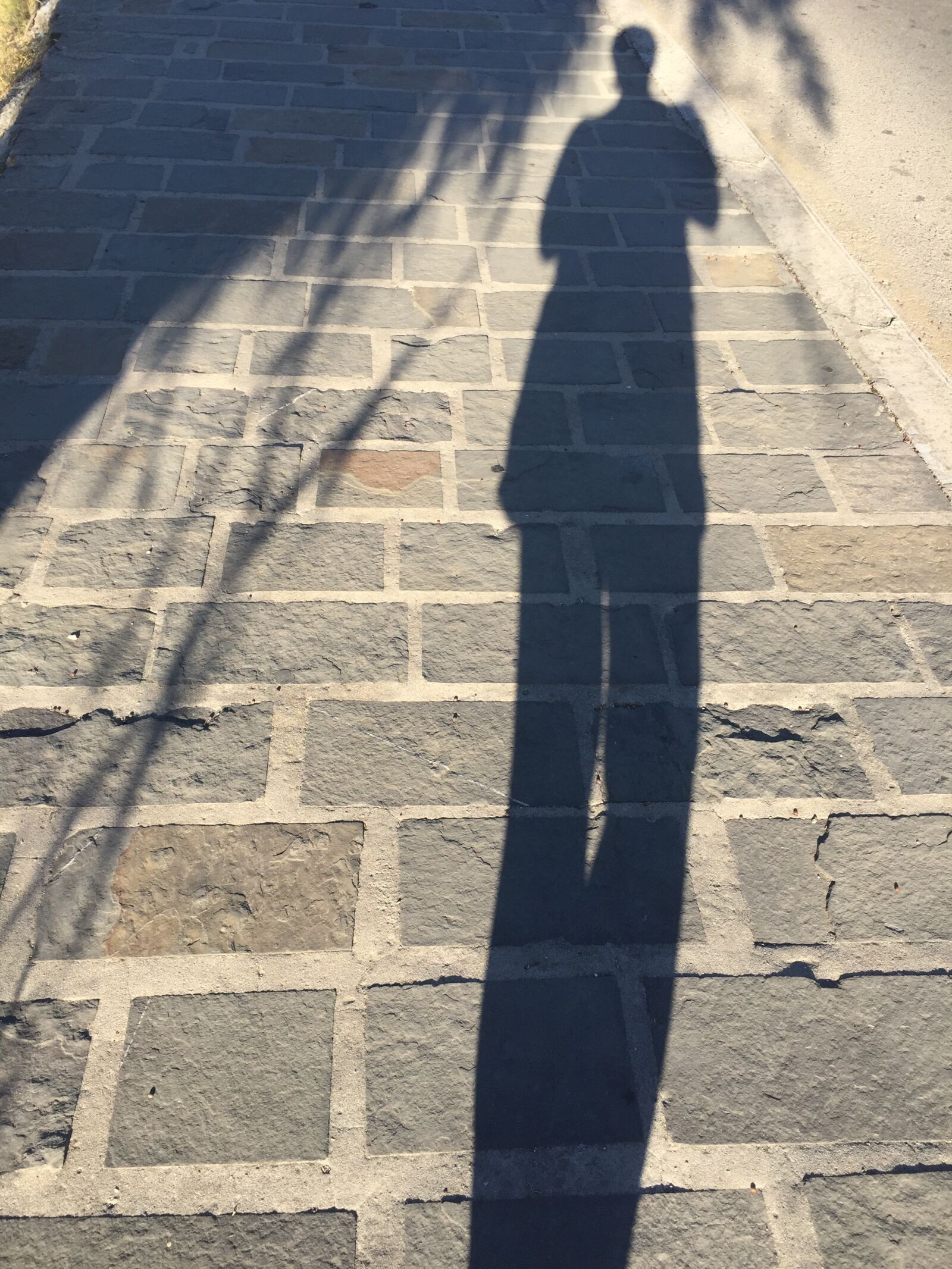 iPhone 6 back camera 4.15mm f/2.2 sample photo. Shadow, road, street photography