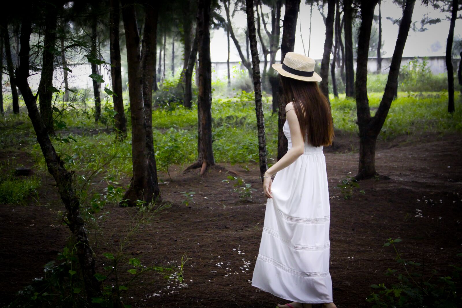 Canon EOS 50D sample photo. Nature, outdoors, tree photography