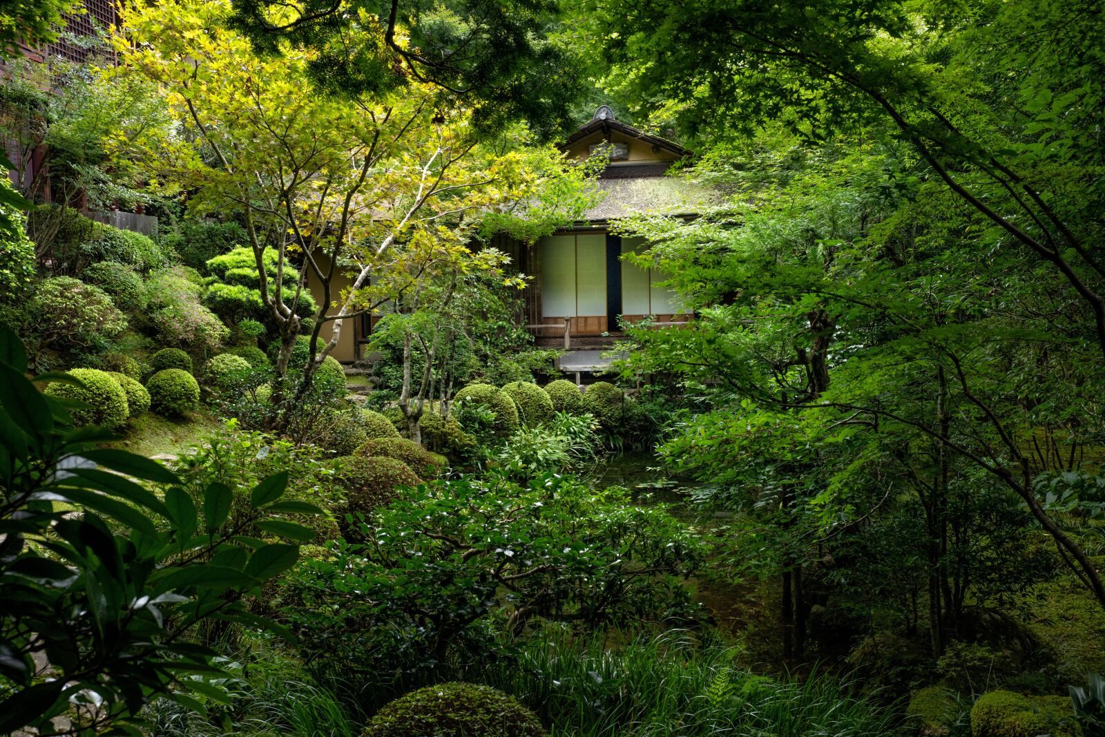 Sony a7R IV sample photo. Landscape, temple courtyard, japan photography